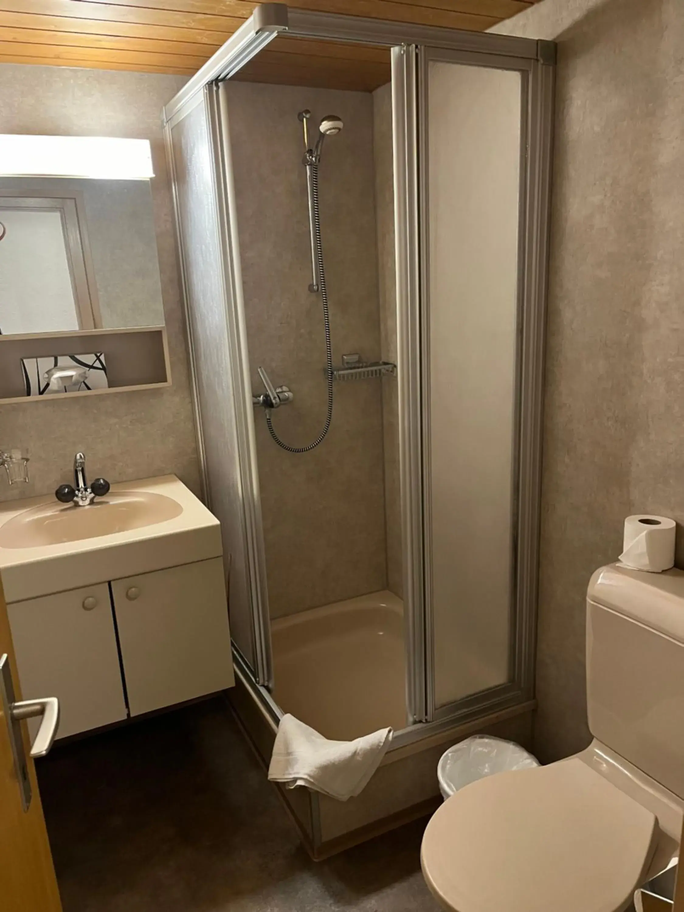 Economy Double Room - No View in Historic Hotel Steinbock Economy Double Room - No View in Historic Hotel Steinbock