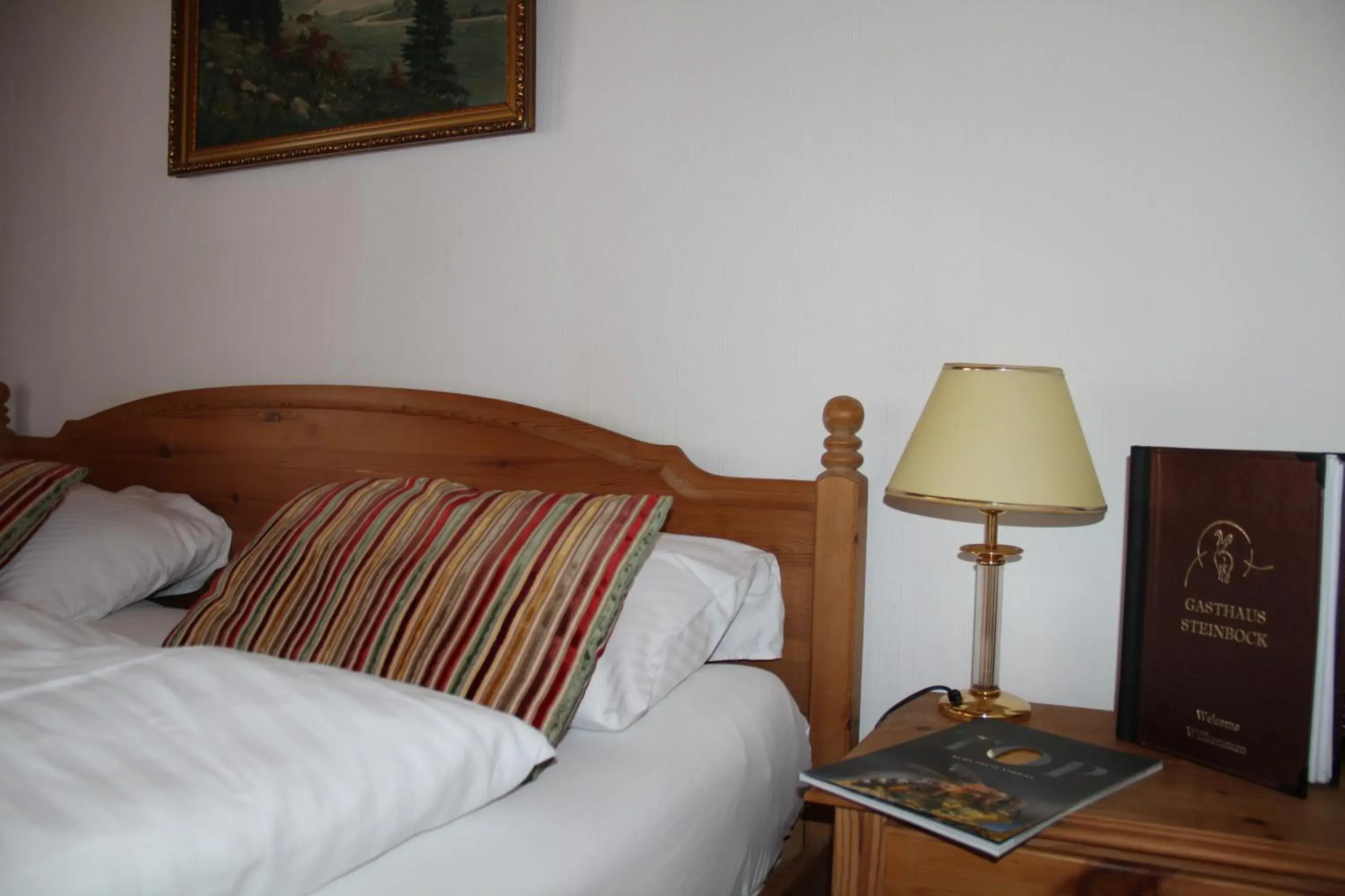 Double Room with Church View in Historic Hotel Steinbock Double Room with Church View in Historic Hotel Steinbock