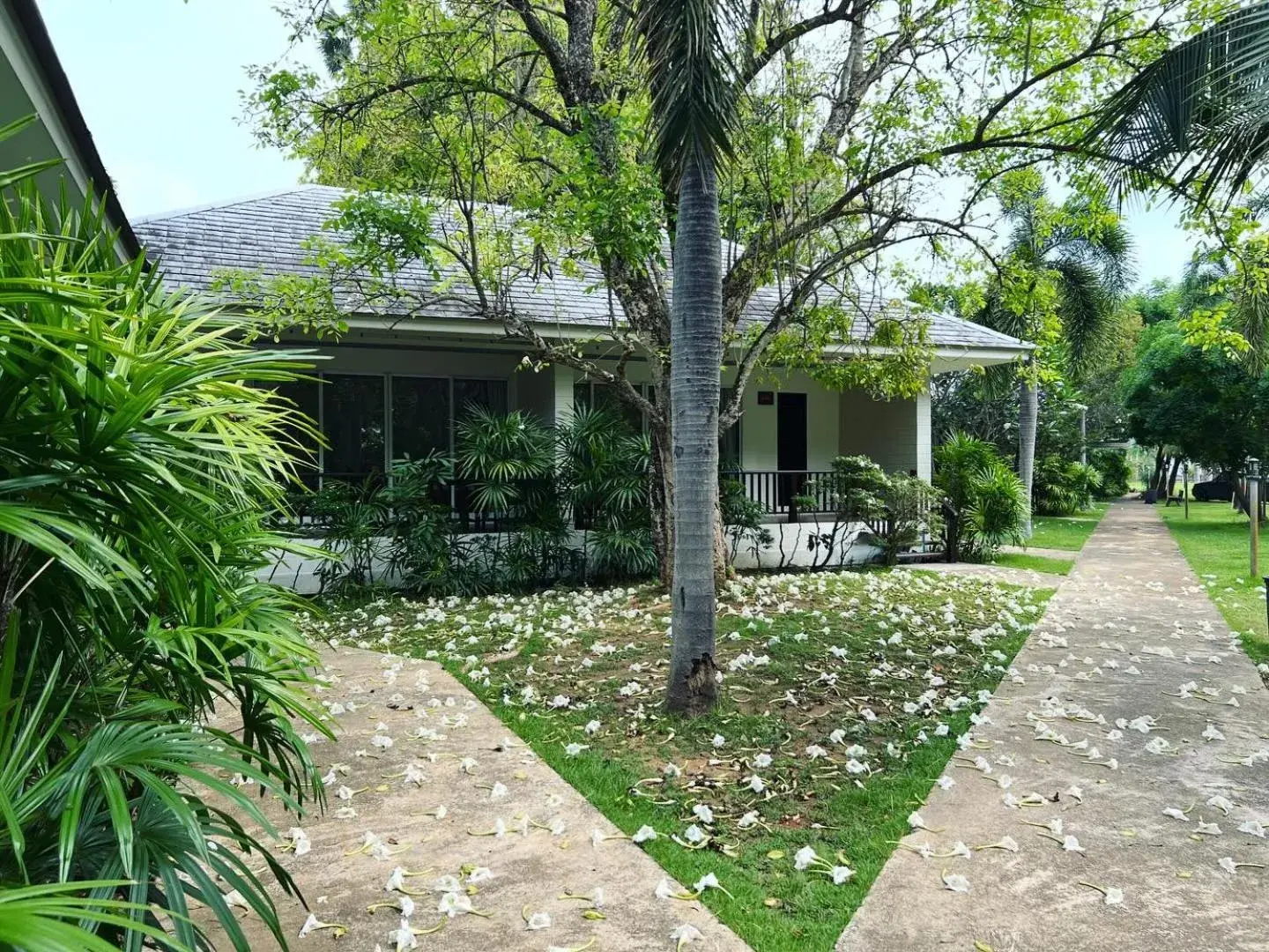 Deluxe Double or Twin Room in Nisasiri Boutique Resort Deluxe Double or Twin Room in Nisasiri Boutique Resort