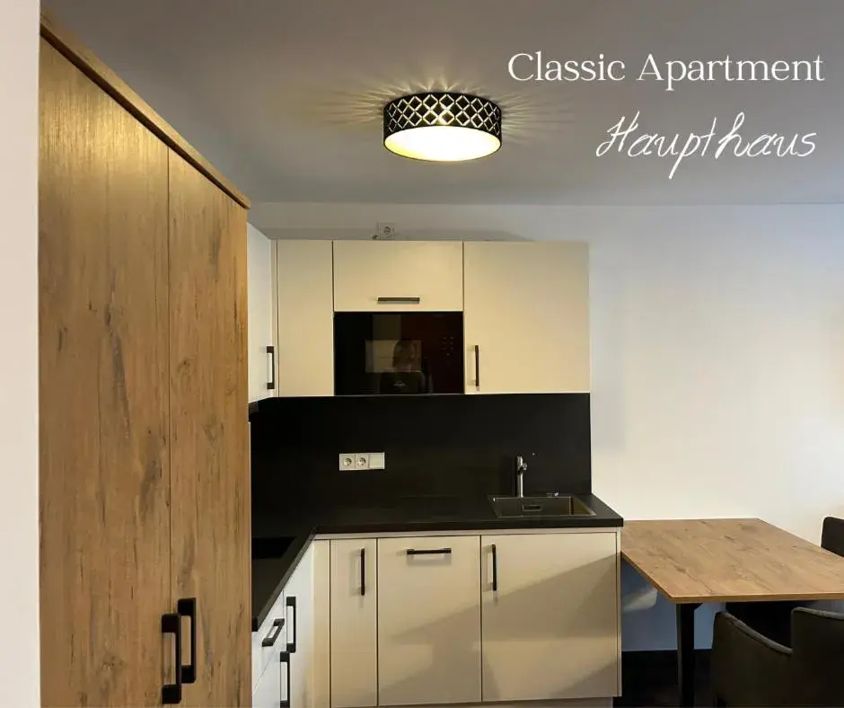 Classic Apartment - single occupancy in Hotel Schwaiger Classic Apartment - single occupancy in Hotel Schwaiger