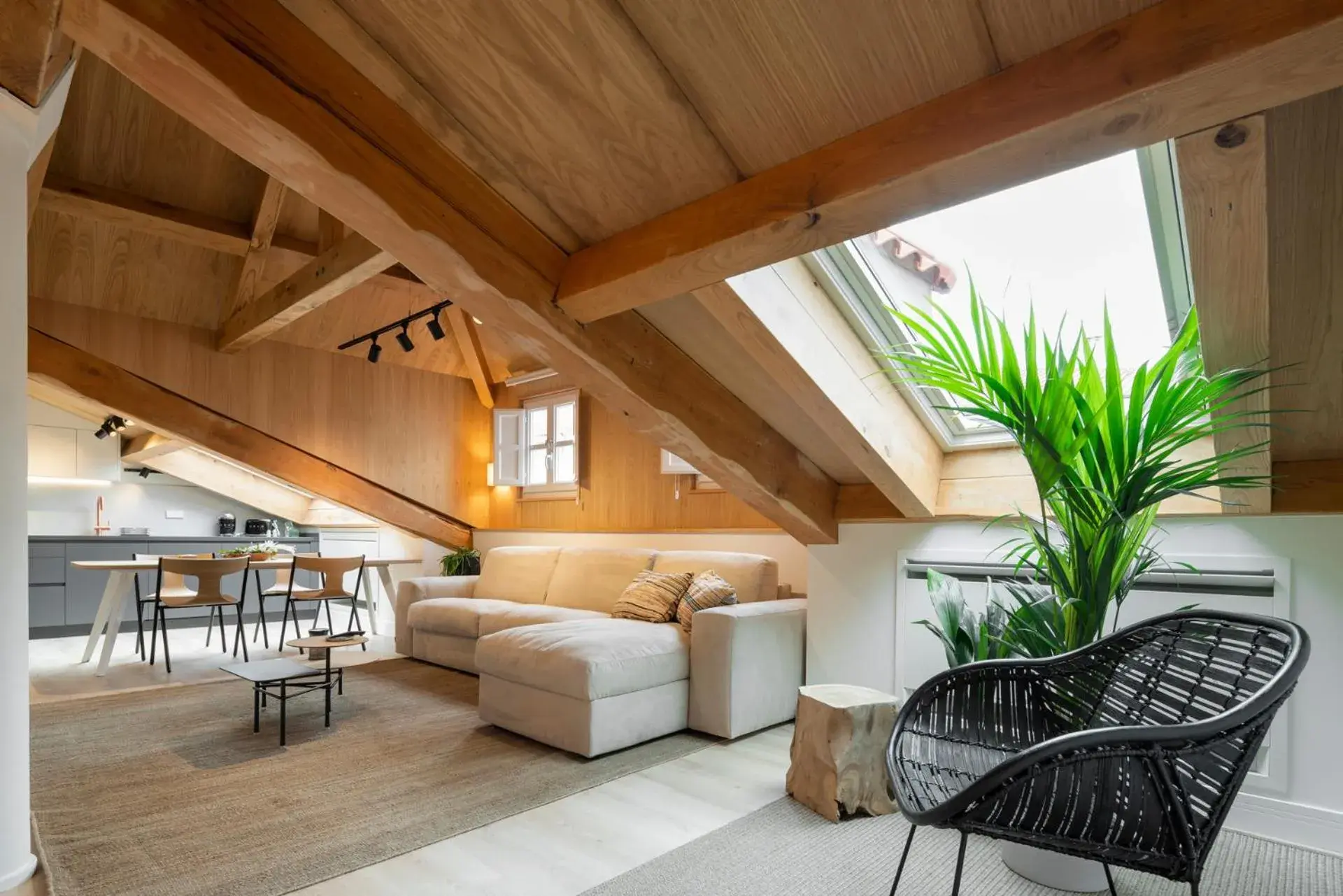 Superior Studio - single occupancy in NORO Plaza Superior Studio - single occupancy in NORO Plaza