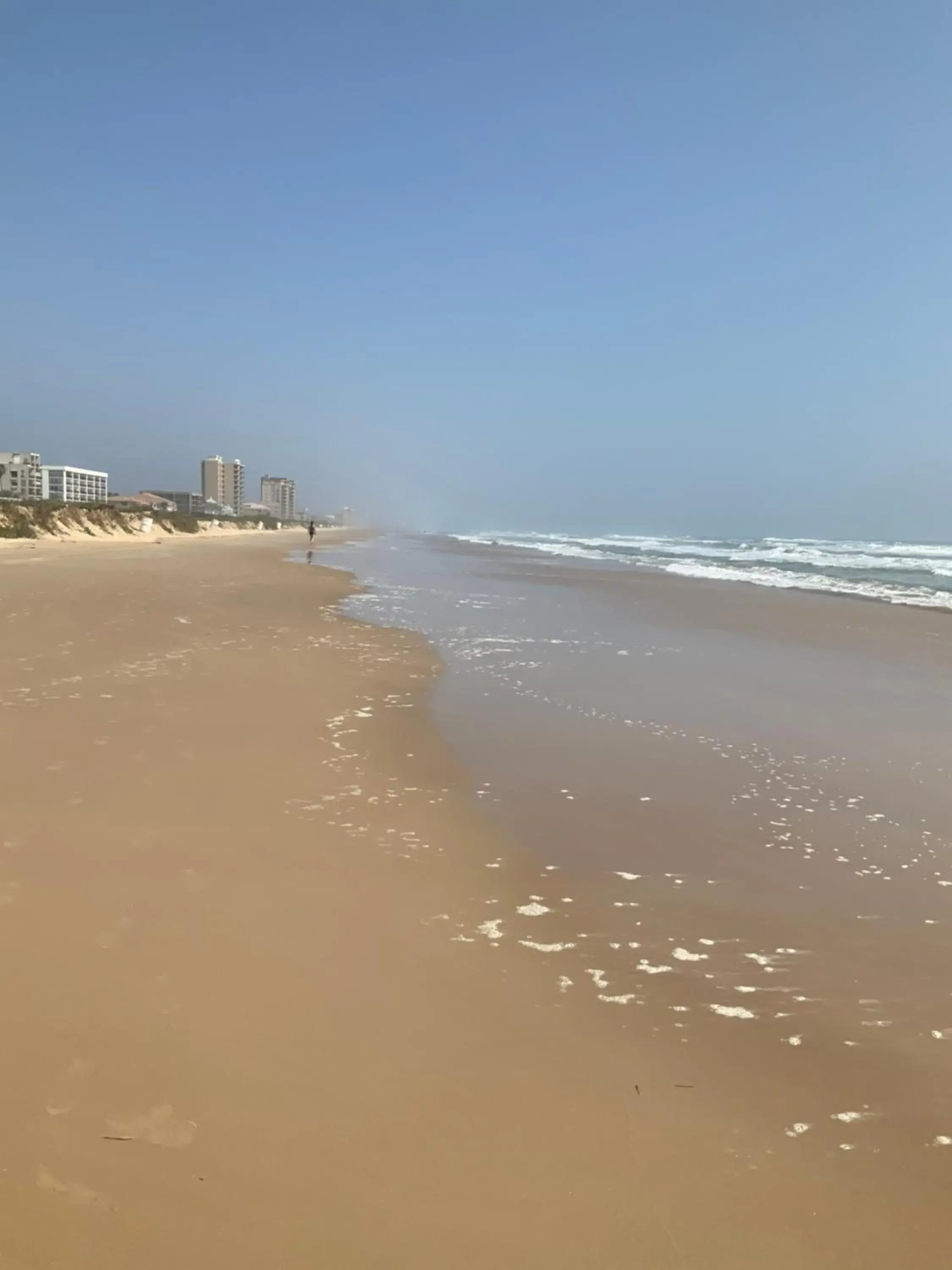 Sea Dancer #9 Sea Dancer #9