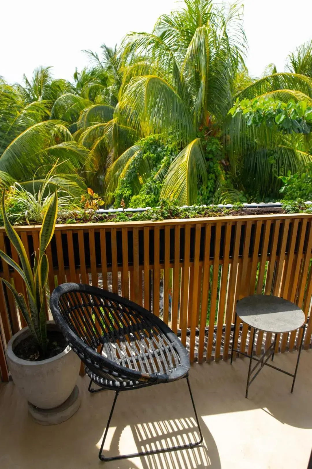 Apartment with Balcony in Casa Peregrino Holbox Apartment with Balcony in Casa Peregrino Holbox