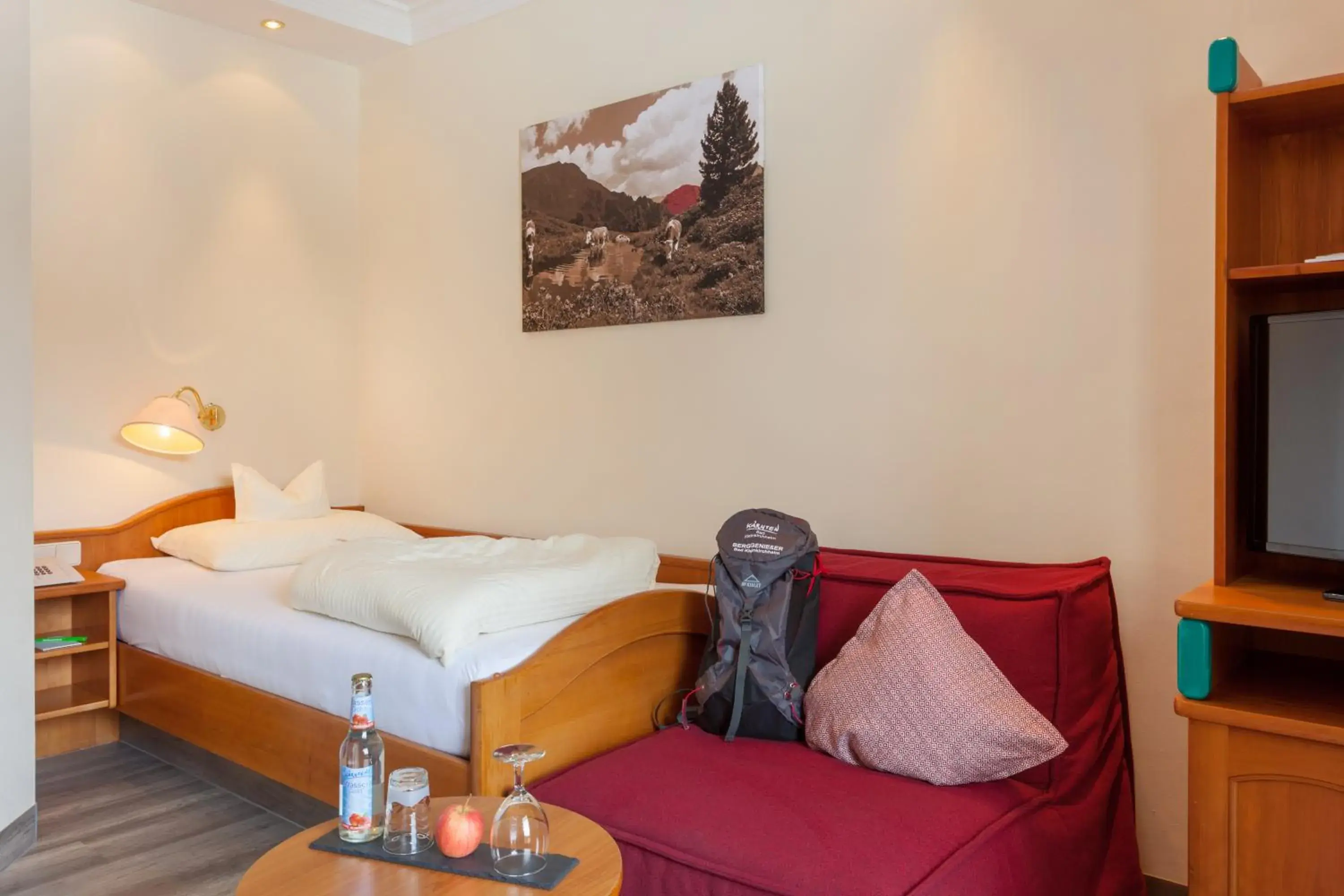 Basic Single Room - single occupancy in Family & Sporthotel Kärntnerhof Basic Single Room - single occupancy in Family & Sporthotel Kärntnerhof