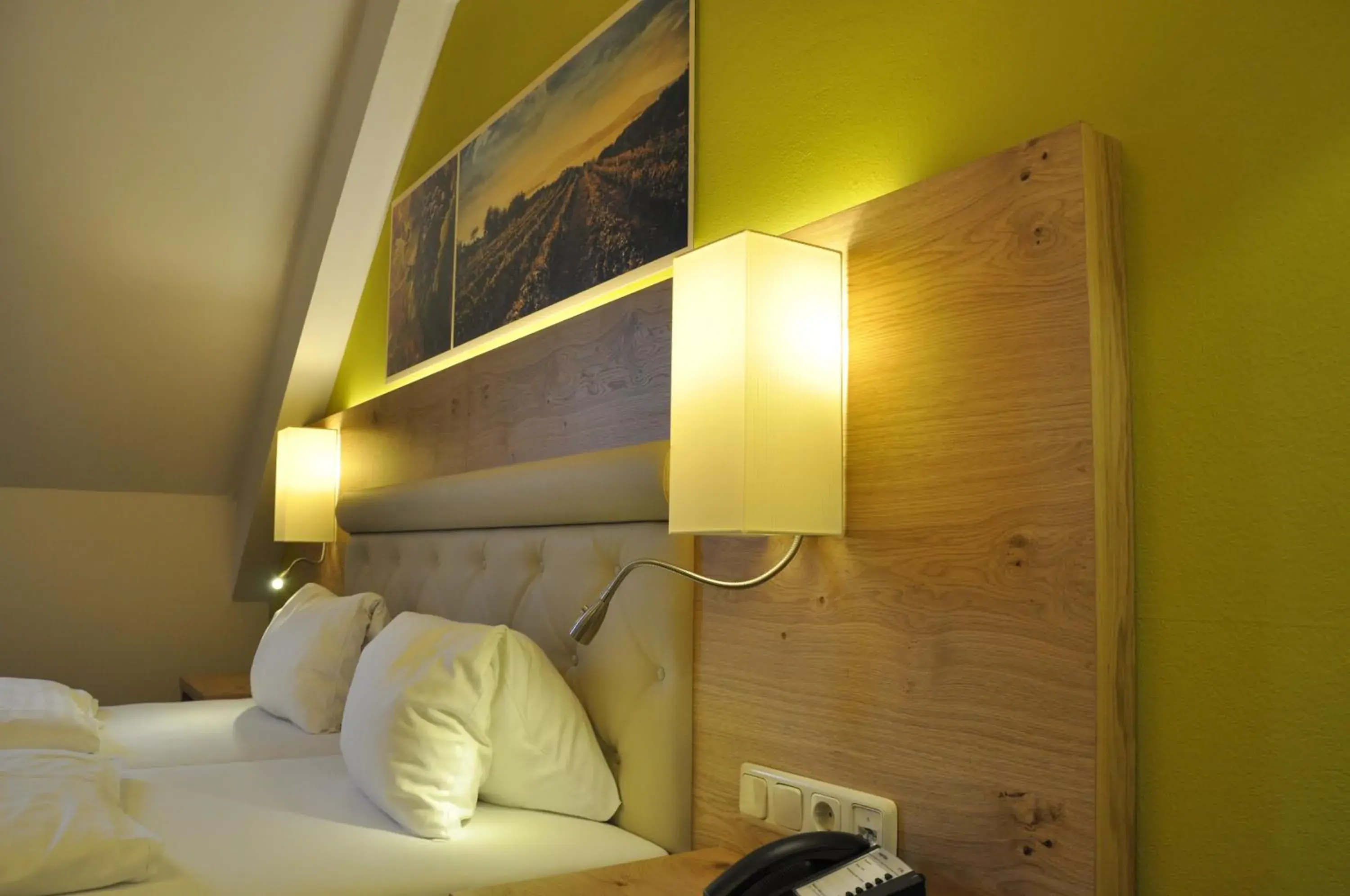 Double Room (1 Adult) in Hotel Restaurant zur Post Double Room (1 Adult) in Hotel Restaurant zur Post