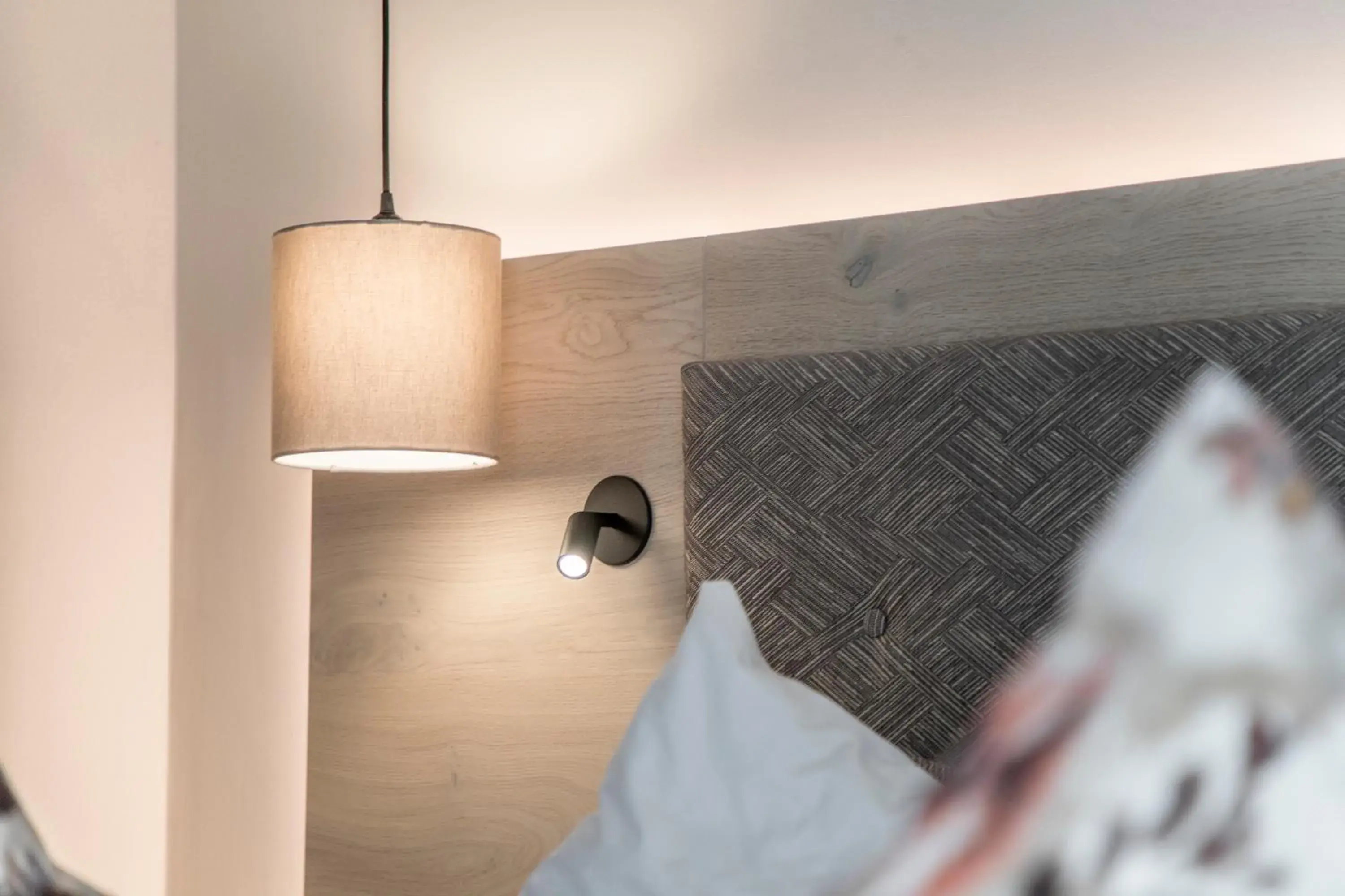 Comfort Double Room - single occupancy in Aktivhotel Schweizerhof Kitzbühel Comfort Double Room - single occupancy in Aktivhotel Schweizerhof Kitzbühel