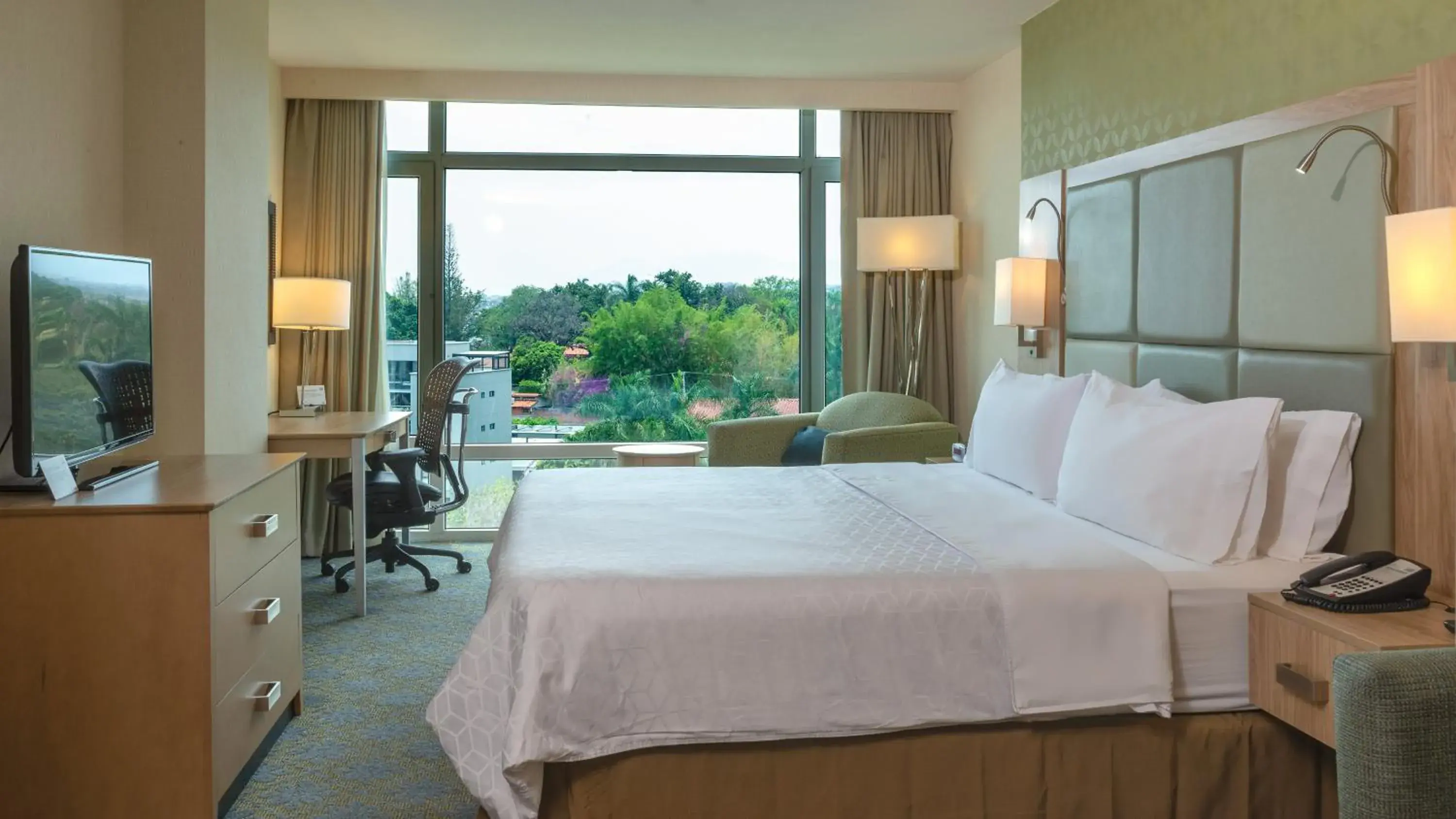 King Suite in Holiday Inn Express & Suites Cuernavaca by IHG King Suite in Holiday Inn Express & Suites Cuernavaca by IHG