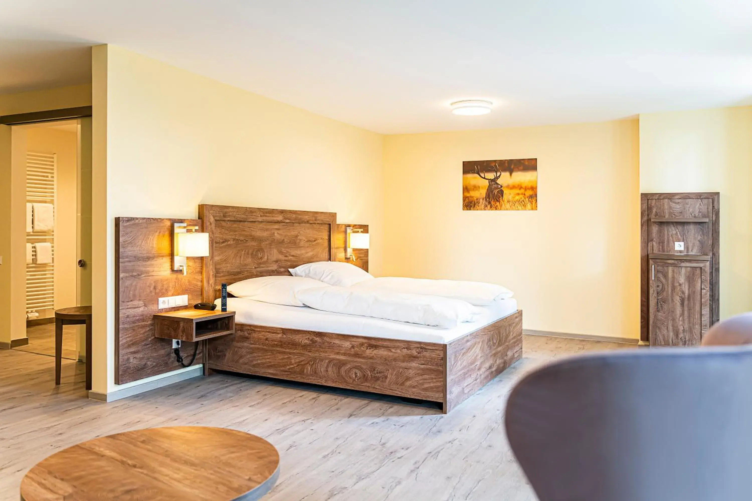 King Room - single occupancy - Disability Access in Robenstein Aktivhotel & SPA King Room - single occupancy - Disability Access in Robenstein Aktivhotel & SPA