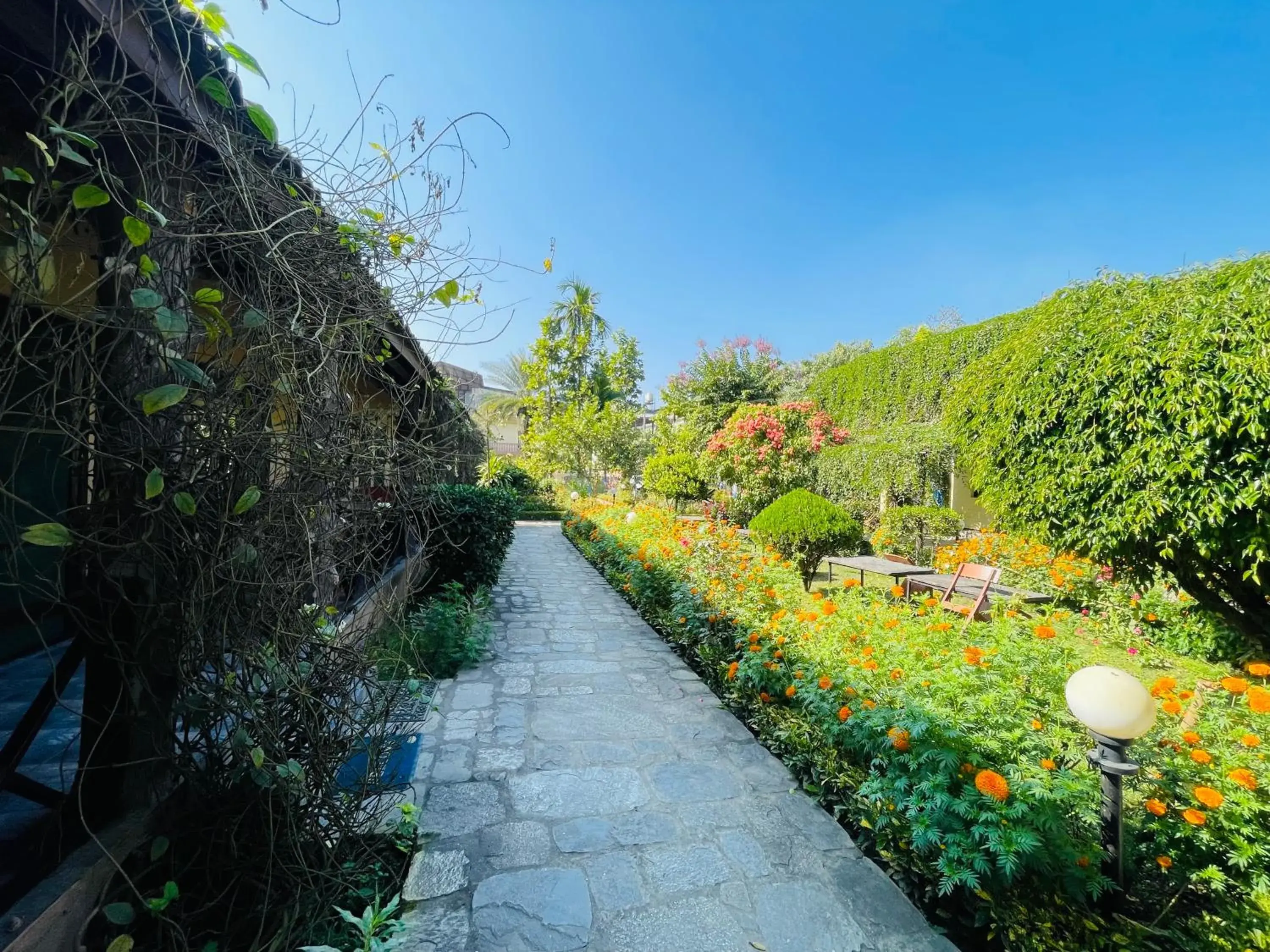 Travellers Jungle Camp-Sauraha Travellers Jungle Camp-Sauraha