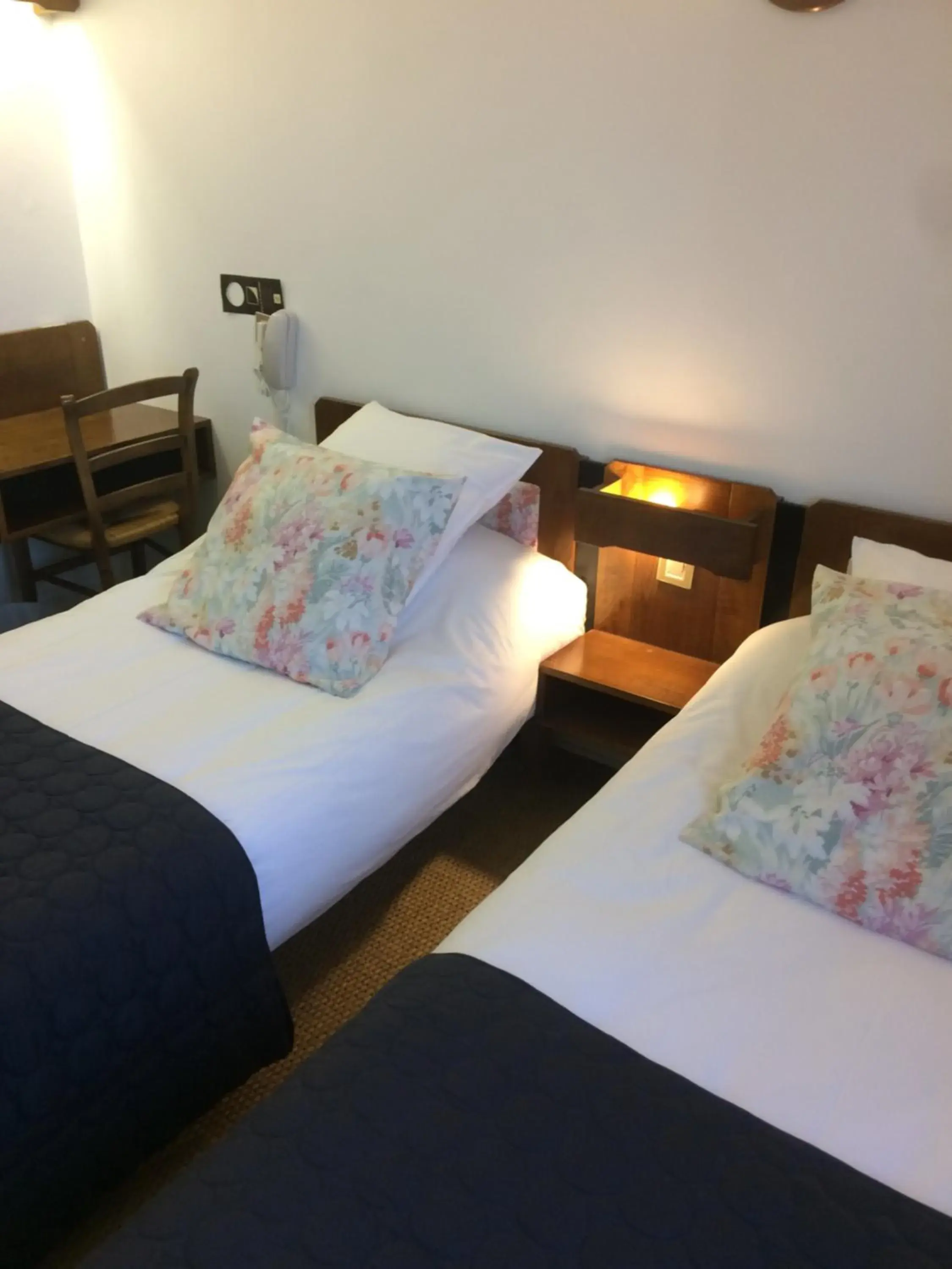 Twin Room in Logis Hôtel LE DAHU Twin Room in Logis Hôtel LE DAHU