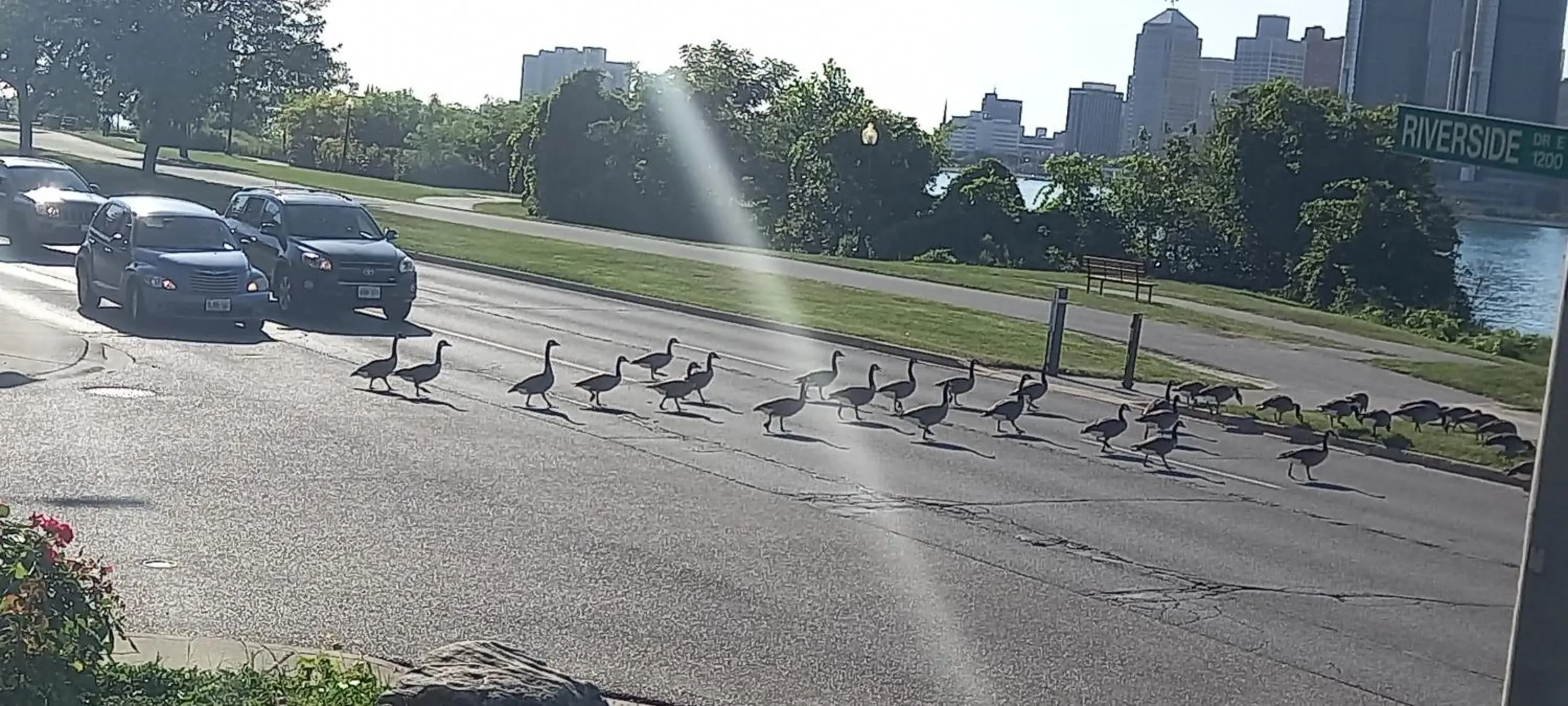Deluxe Double Room with Balcony and Sea View in Waterfront Home Windsor ,Canada Deluxe Double Room with Balcony and Sea View in Waterfront Home Windsor ,Canada
