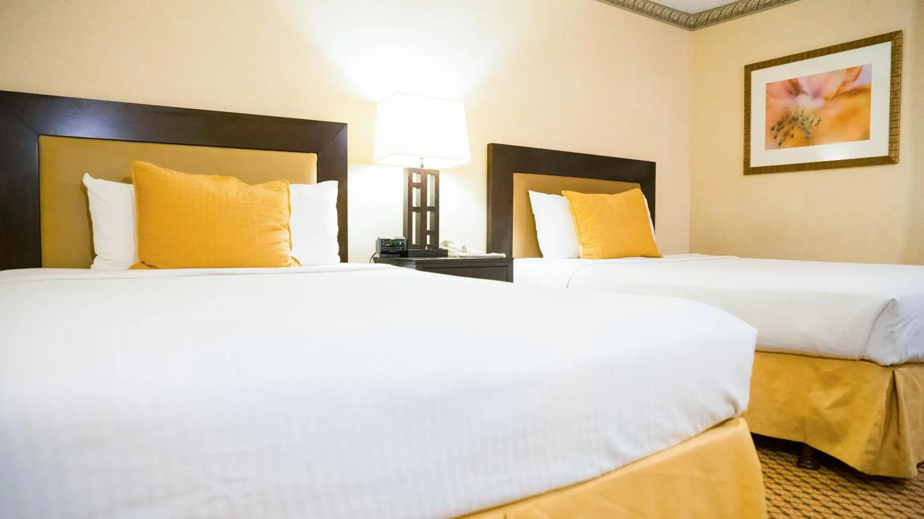 Two-Bedroom Suite - Non-Smoking in Studio 6 Anaheim Hills CA Two-Bedroom Suite - Non-Smoking in Studio 6 Anaheim Hills CA