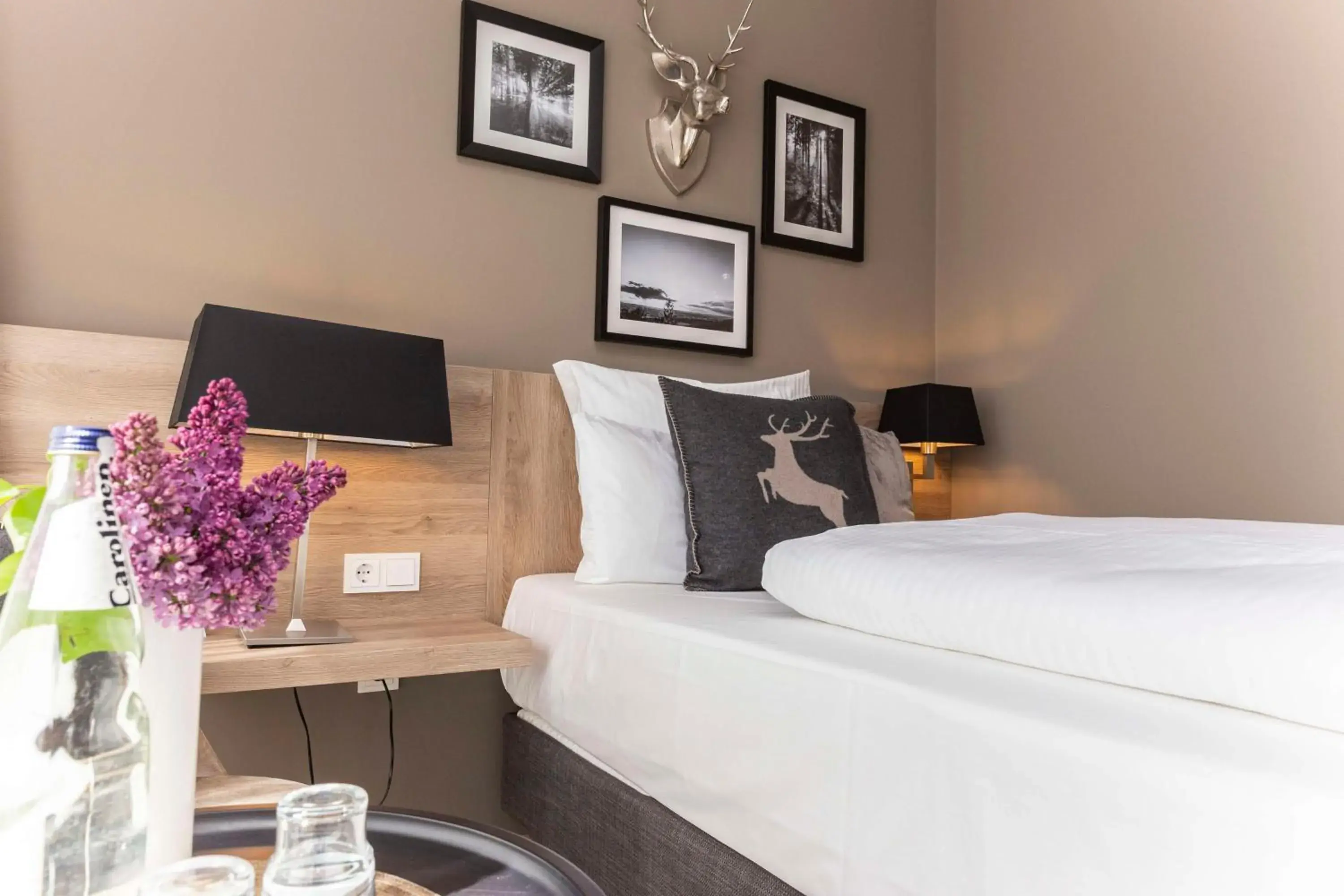 Comfort Plus Single Room in Best Western Plus Hotel Ostertor Comfort Plus Single Room in Best Western Plus Hotel Ostertor