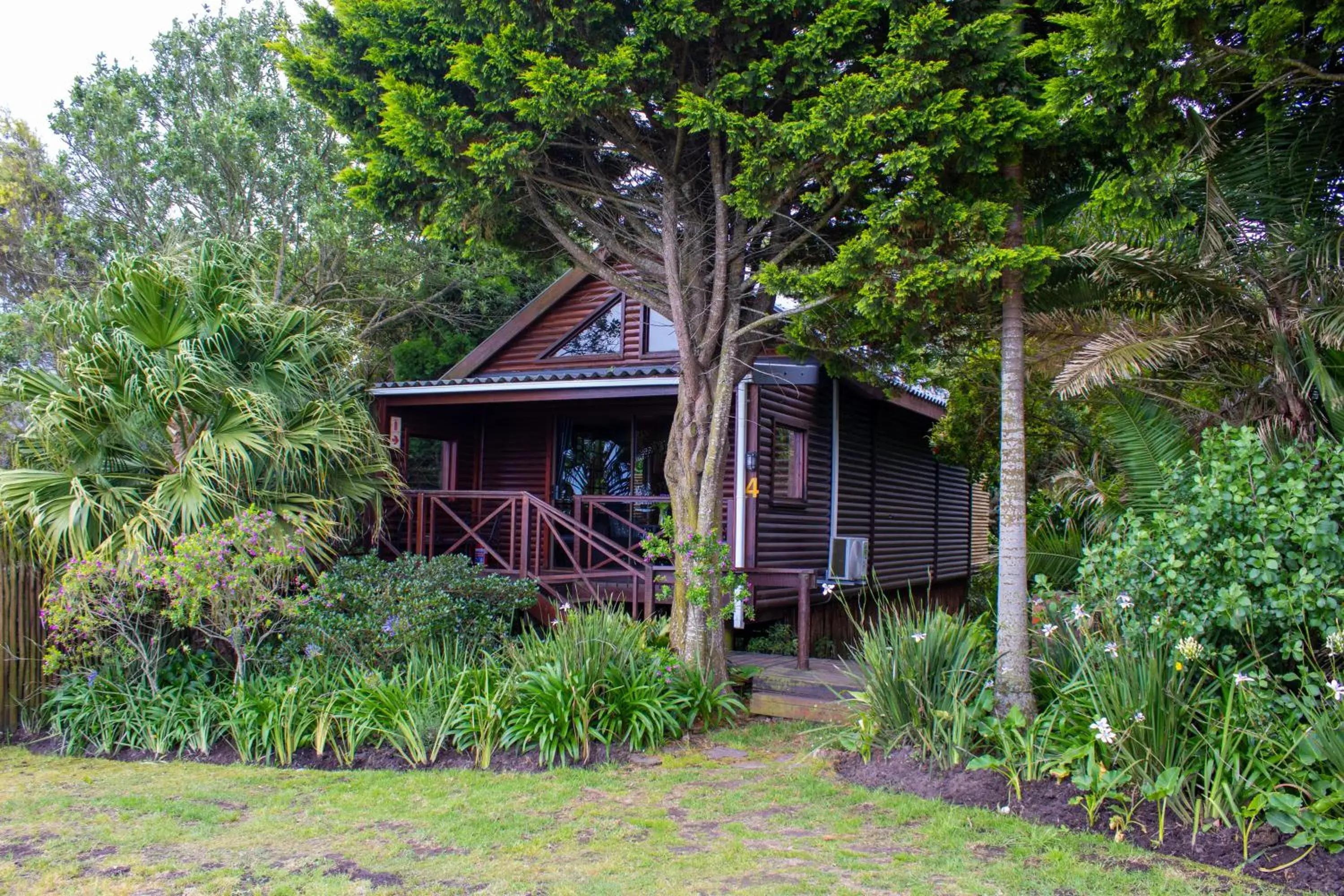 Standard King Room - single occupancy in Misty Mountain Reserve Standard King Room - single occupancy in Misty Mountain Reserve