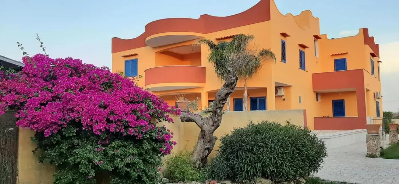 Terra e colori Terra e colori