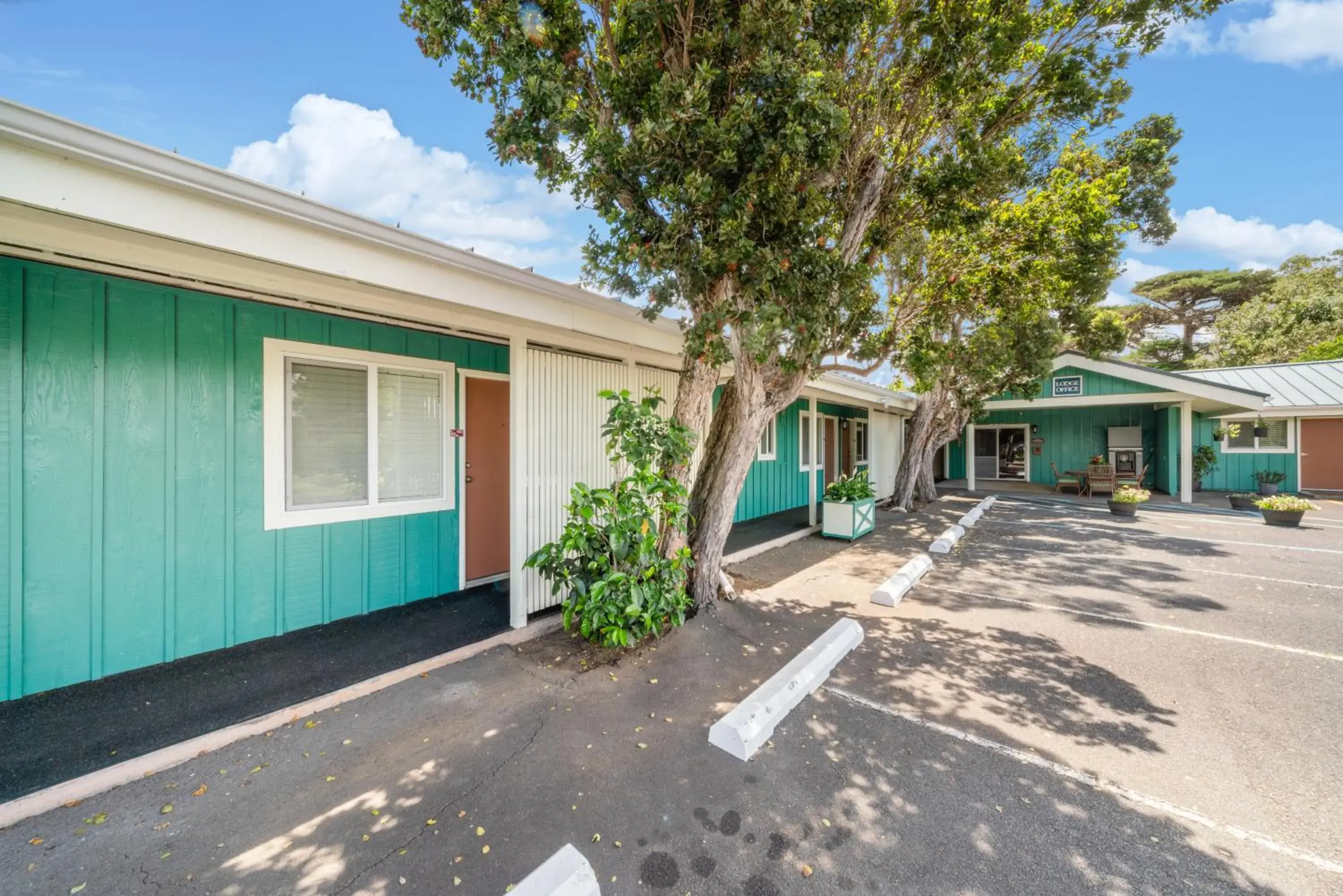 Standard Room in Castle Waimea Country Lodge Standard Room in Castle Waimea Country Lodge