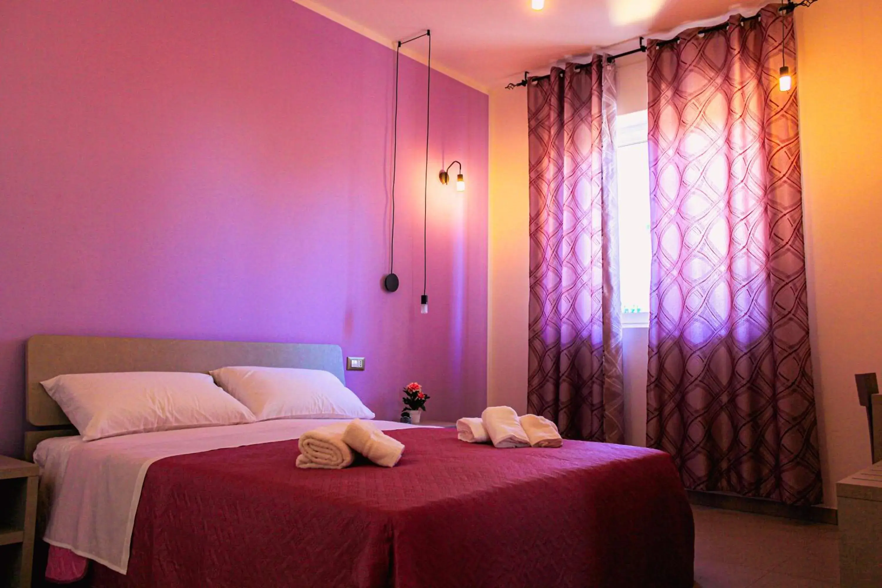 Armonia Galeta Armonia Galeta