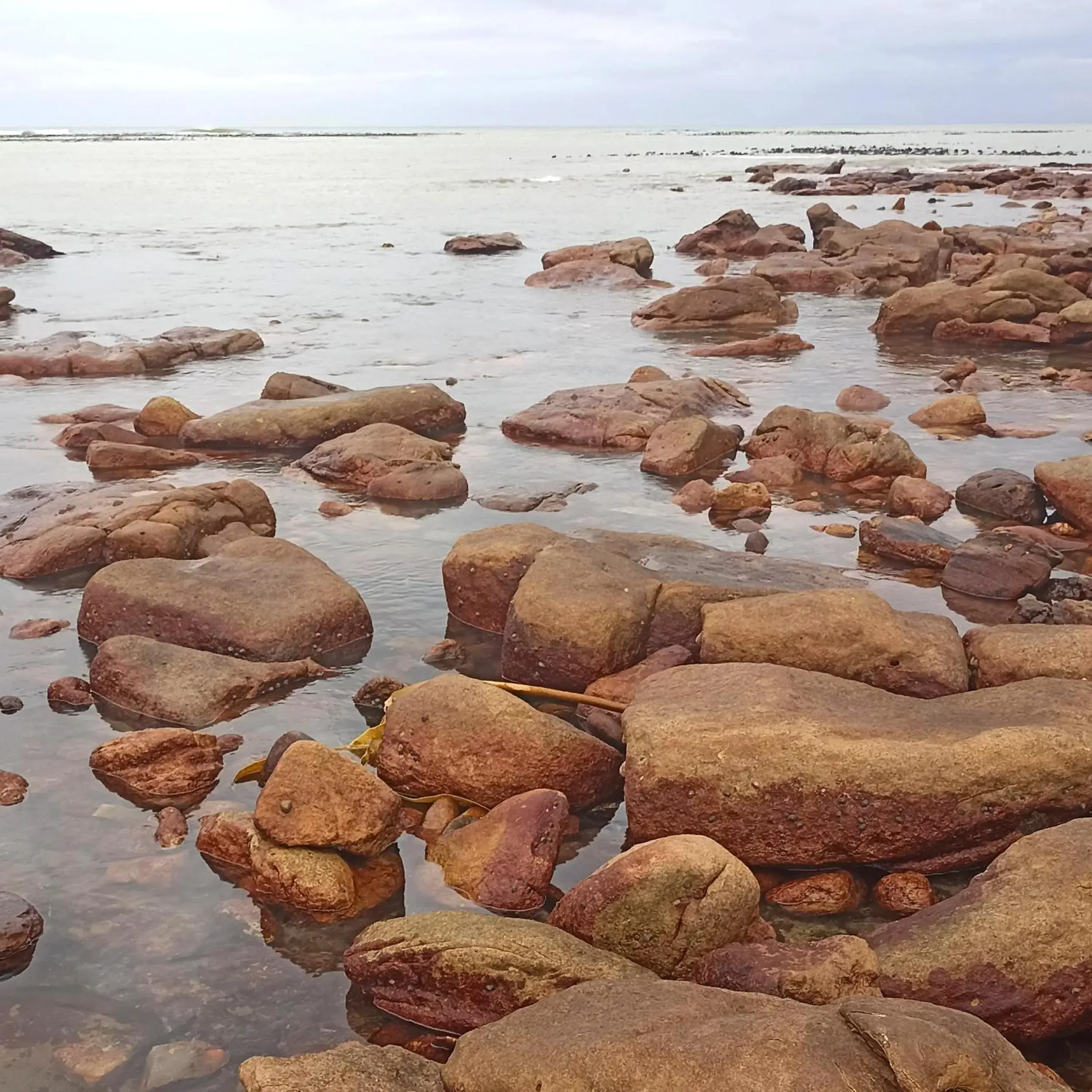 Double Room with Private Bathroom in The Retreat Double Room with Private Bathroom in The Retreat