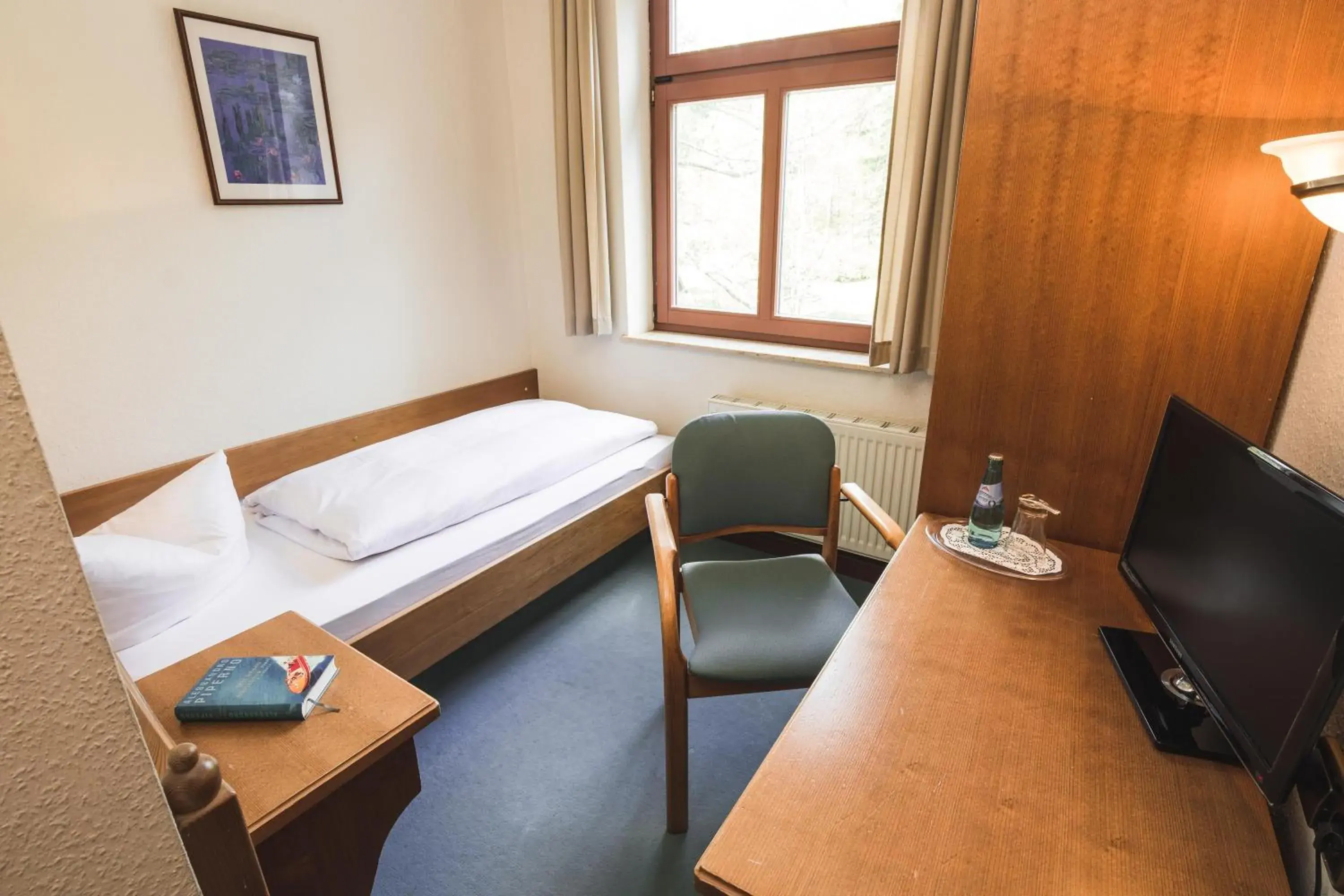 Single Room in Berghotel Friedrichshöhe - Sauna, Pool & Natur Single Room in Berghotel Friedrichshöhe - Sauna, Pool & Natur