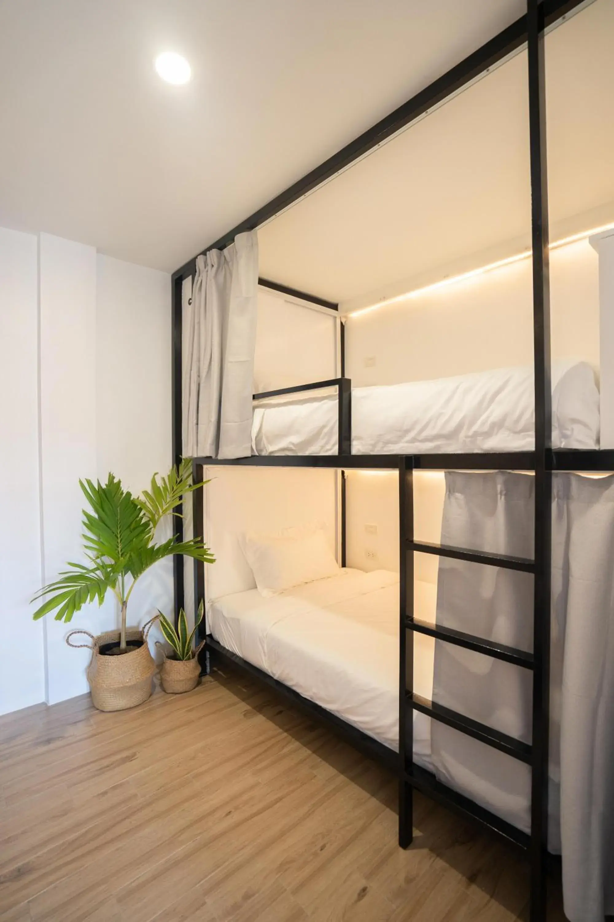 Bed in 4-Bed Female Dormitory Room in Ultra Mint Dive Resort Bed in 4-Bed Female Dormitory Room in Ultra Mint Dive Resort