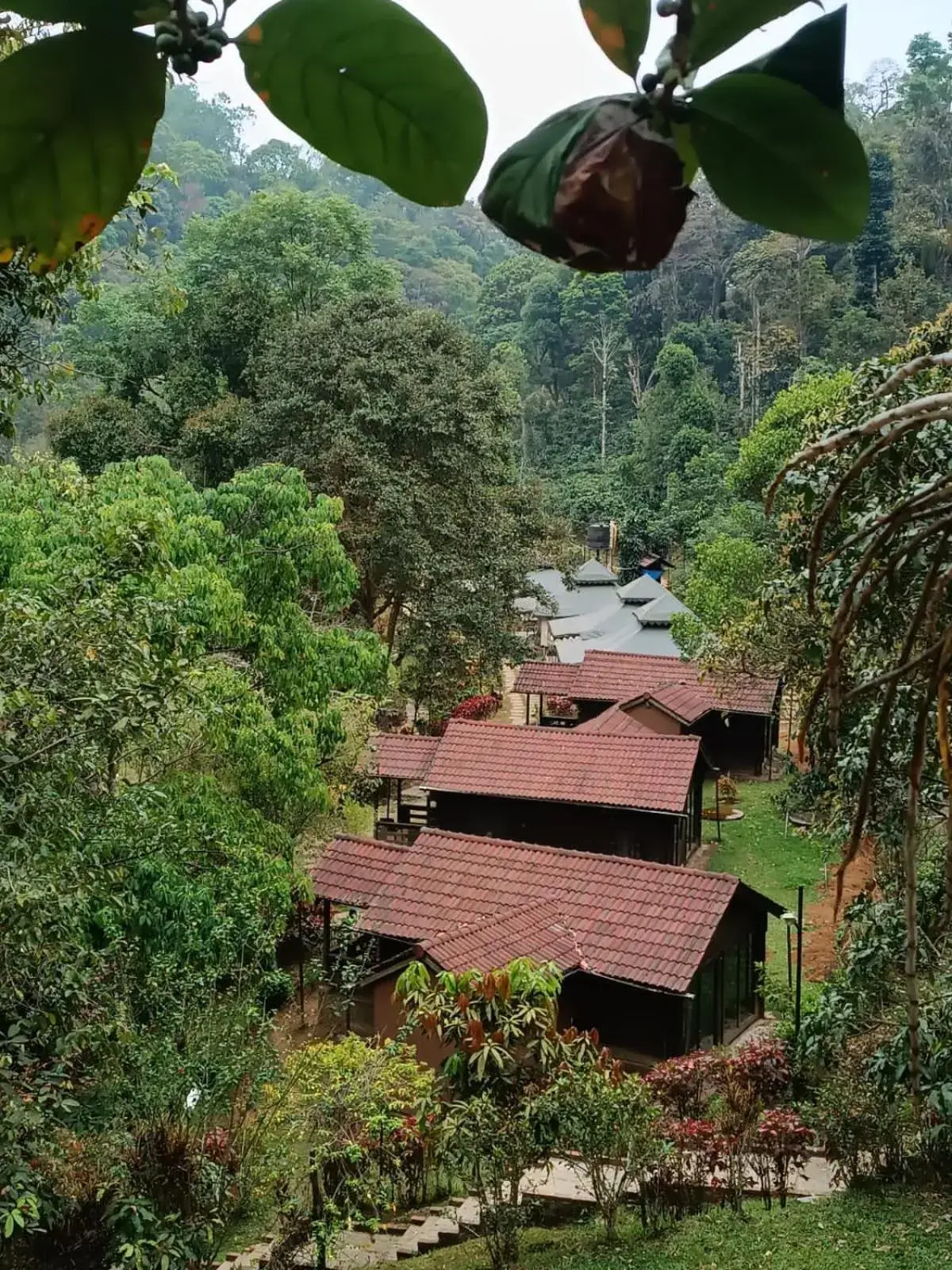 Three Hills Resort Coorg Three Hills Resort Coorg