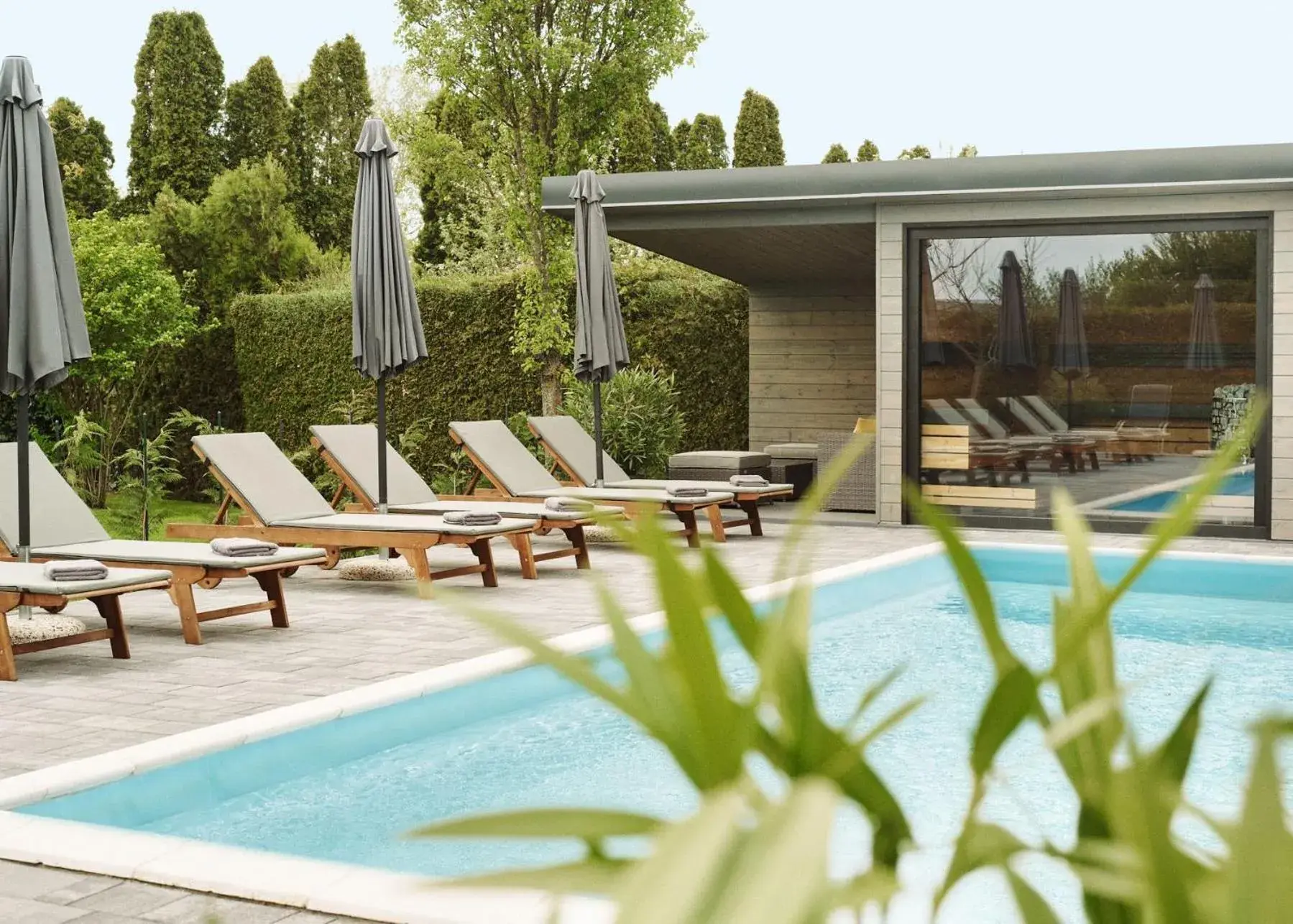 Lorelei Pension Adults Only Lorelei Pension Adults Only