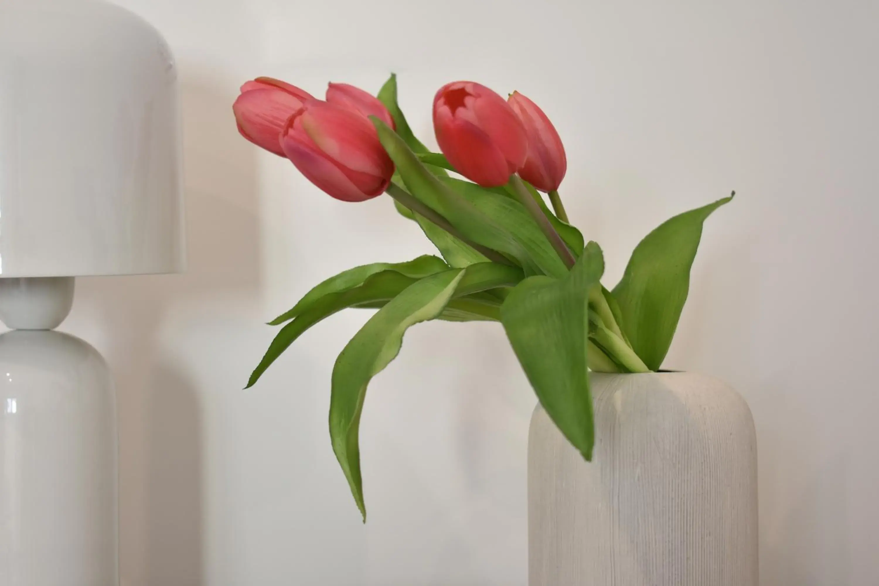 Double Room in Tenuta Micoli Double Room in Tenuta Micoli