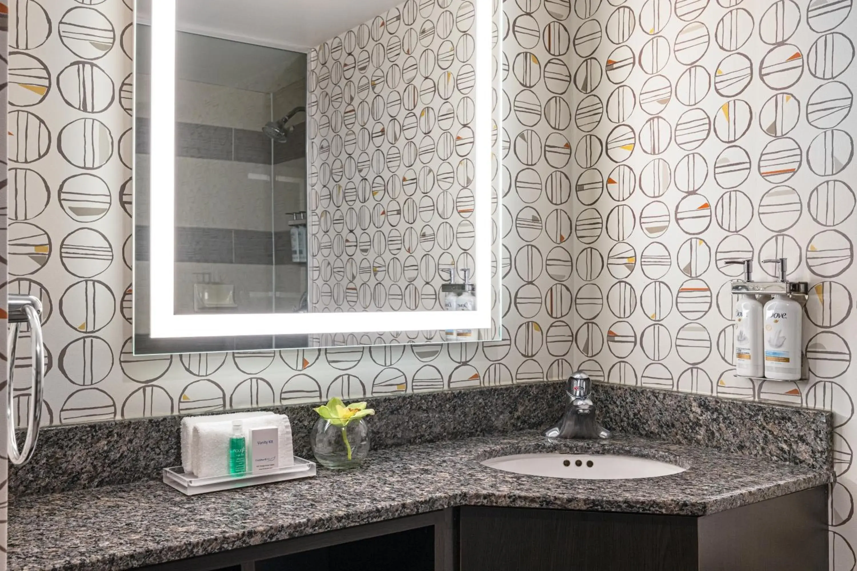 Standard Queen Room in Holiday Inn Toronto Downtown Centre by IHG Standard Queen Room in Holiday Inn Toronto Downtown Centre by IHG