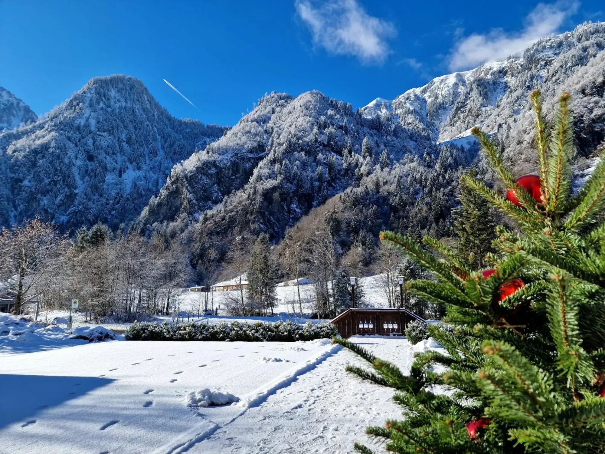 Pension Baranekhof - accommodation in nature - Baranek Resorts Pension Baranekhof - accommodation in nature - Baranek Resorts