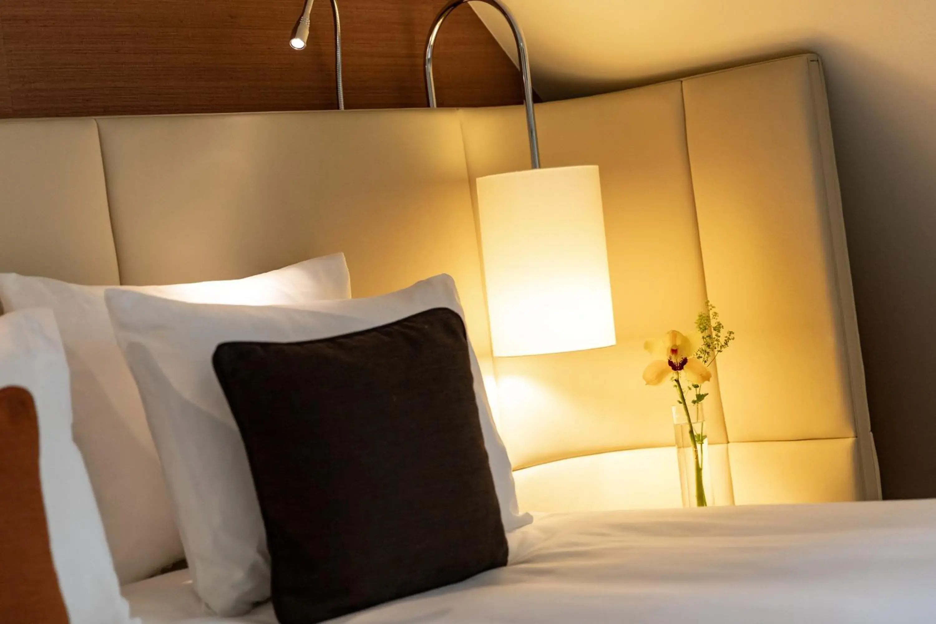 Standard room with 1 Kingsize-bed in Renaissance Lucerne Hotel Standard room with 1 Kingsize-bed in Renaissance Lucerne Hotel