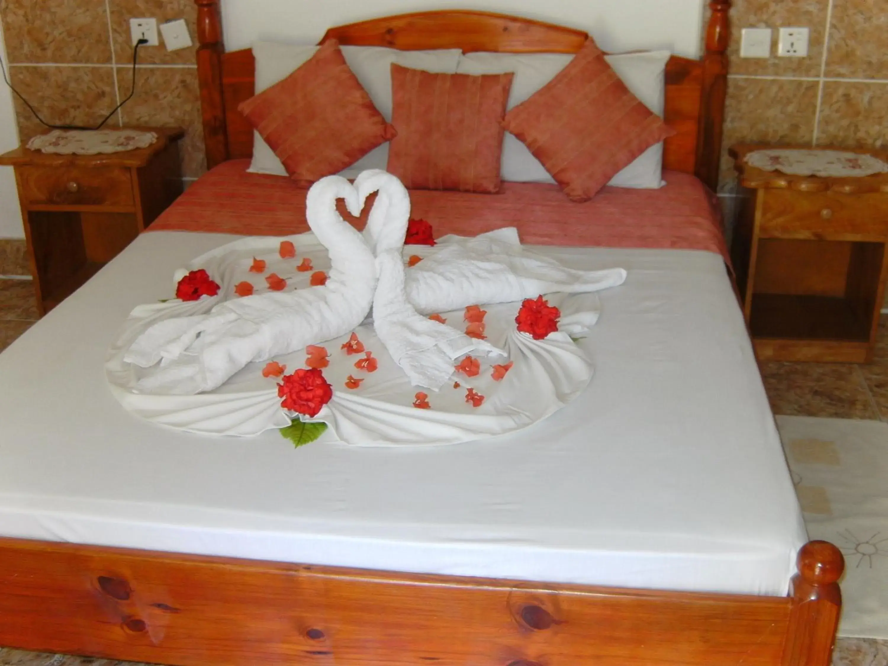 Double Room - single occupancy in Rising Sun Guesthouse Double Room - single occupancy in Rising Sun Guesthouse