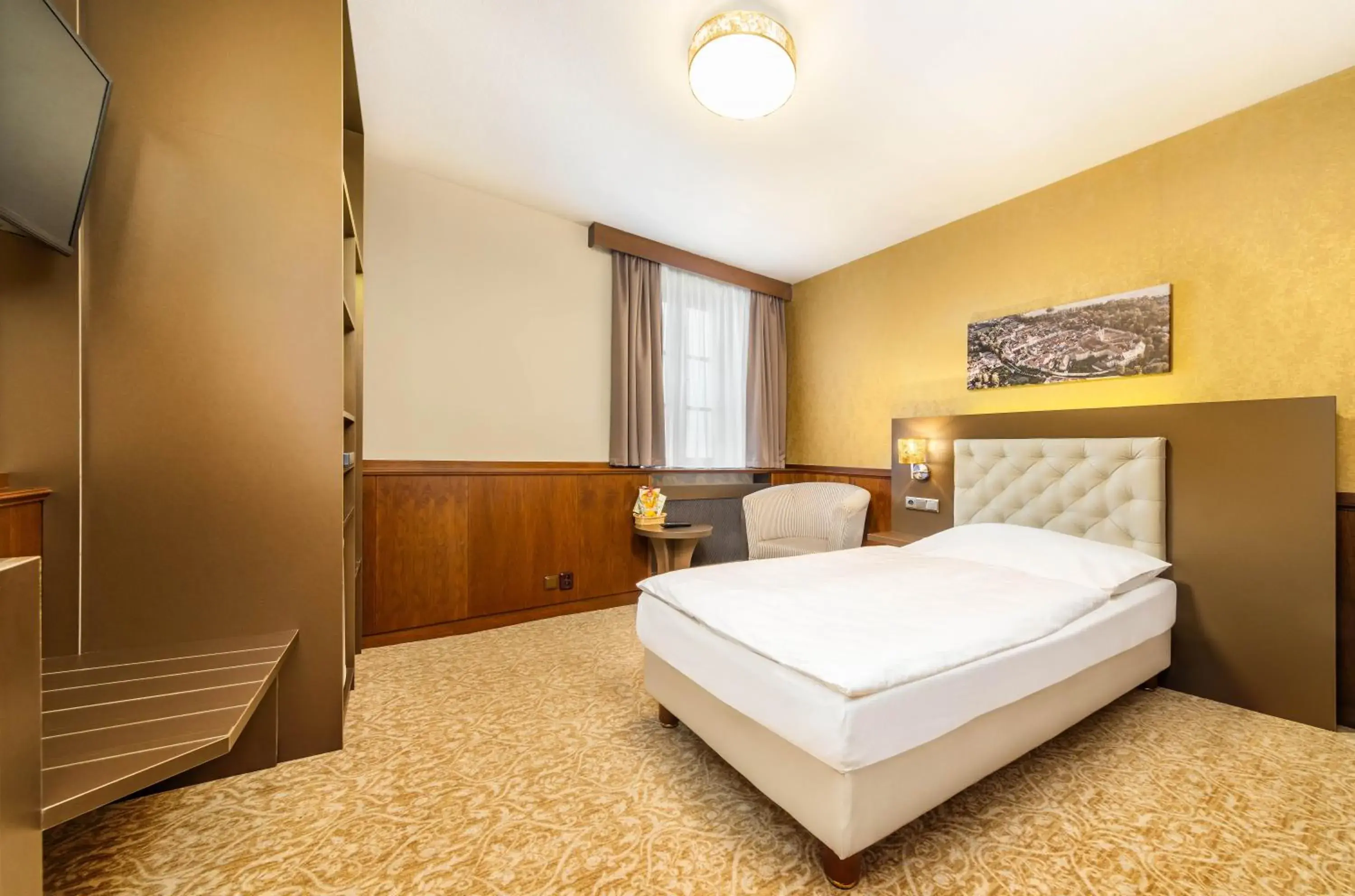 Single Room in Hotel Zlatá hvězda Single Room in Hotel Zlatá hvězda