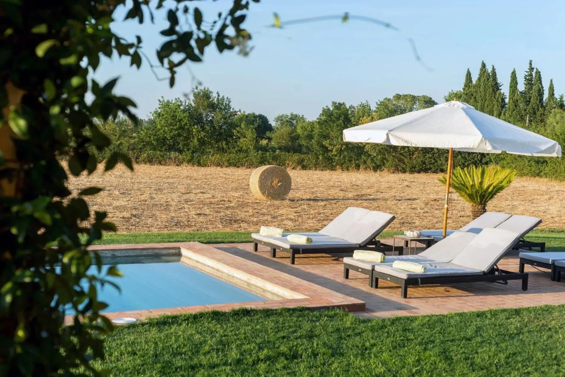 CAN CASI house CAN CASI house