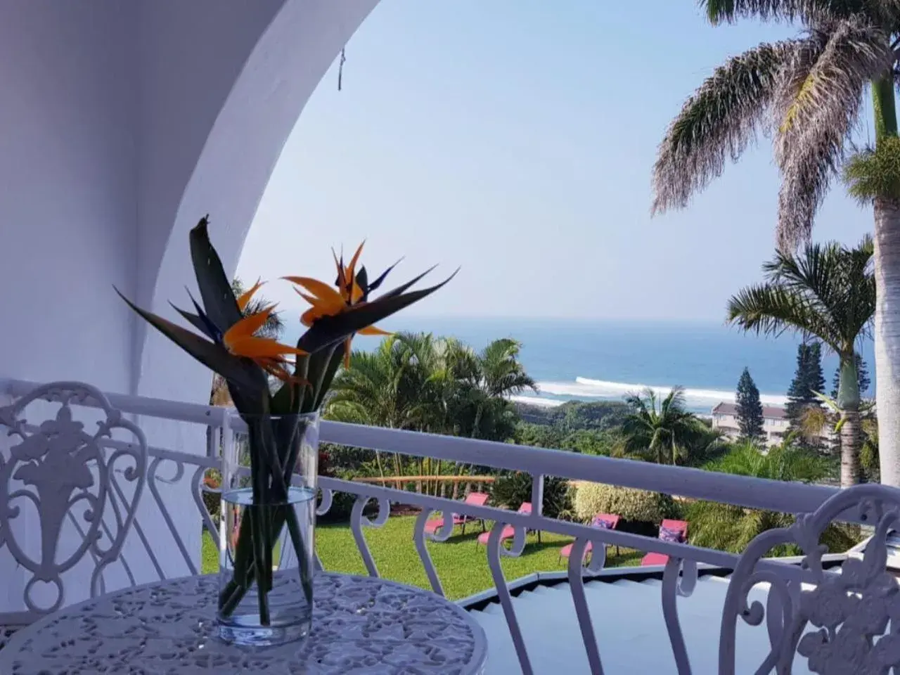 Double Room - single occupancy in ThE LaZy ShArK Double Room - single occupancy in ThE LaZy ShArK