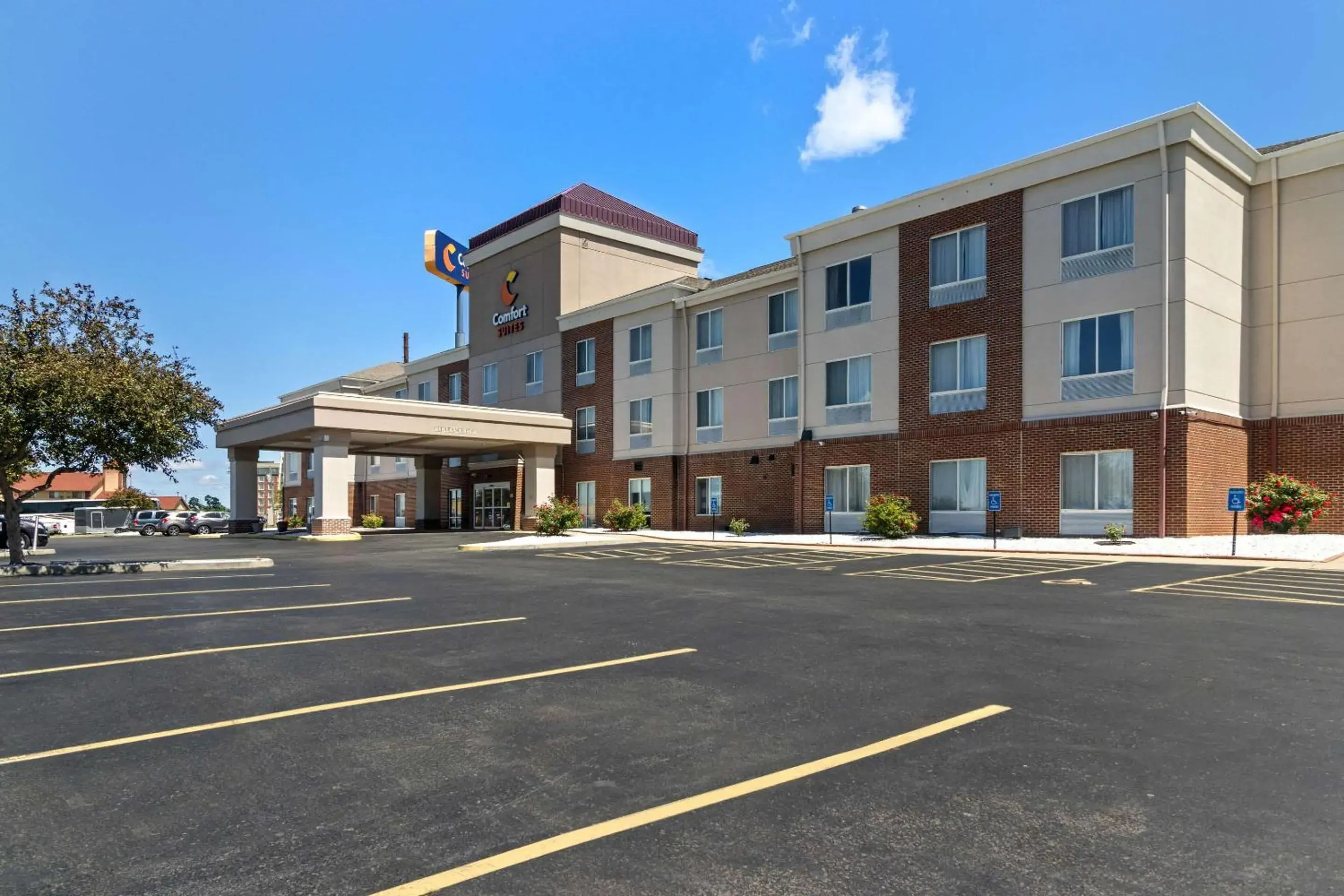 Comfort Suites Comfort Suites