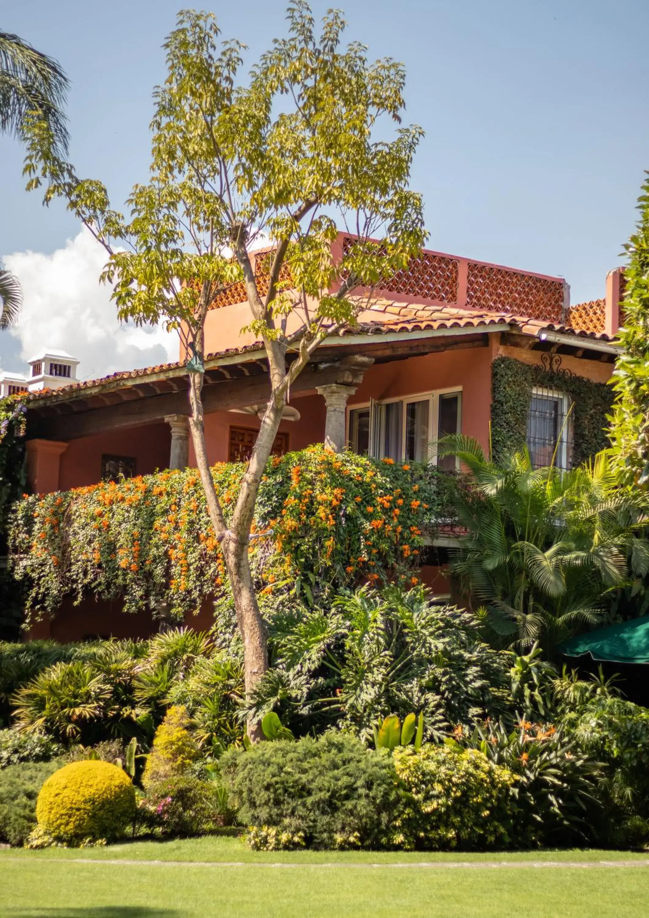 Standard Suite in Las Mañanitas Standard Suite in Las Mañanitas