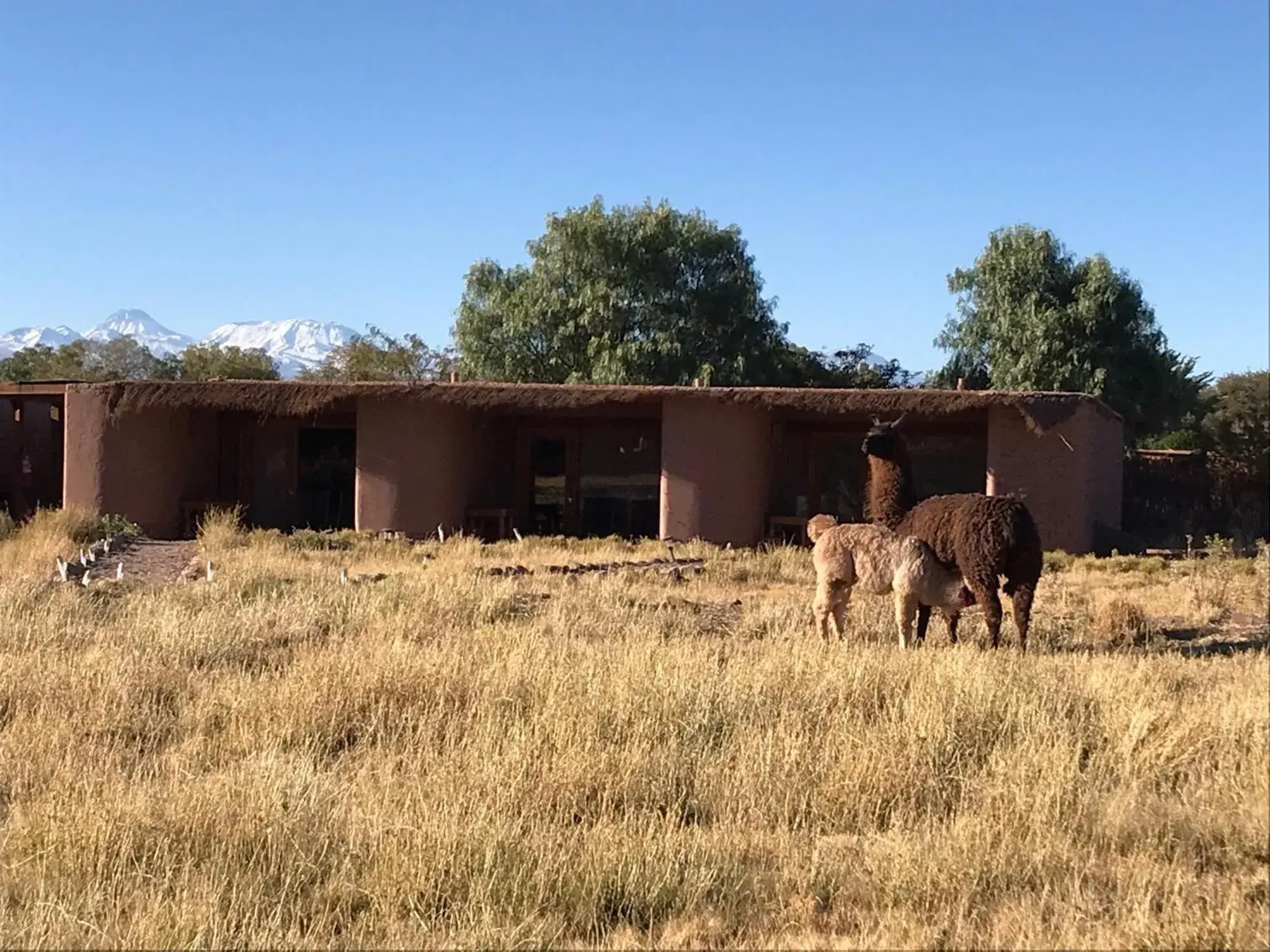 Eco-Lodge El Andinista Eco-Lodge El Andinista