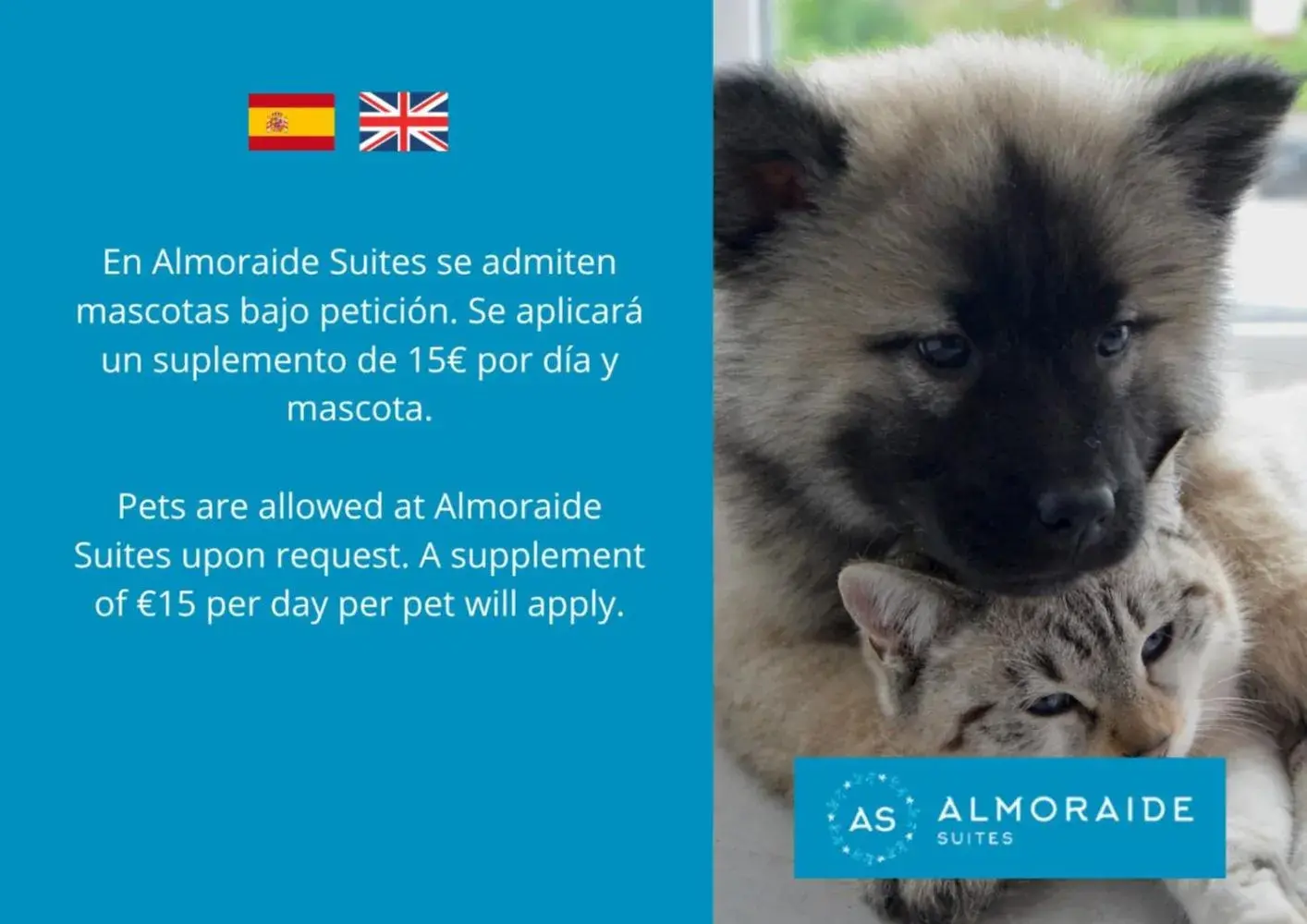 Apartment Nº 1 in AT Almoraide Rooms Suites Apartment Nº 1 in AT Almoraide Rooms Suites