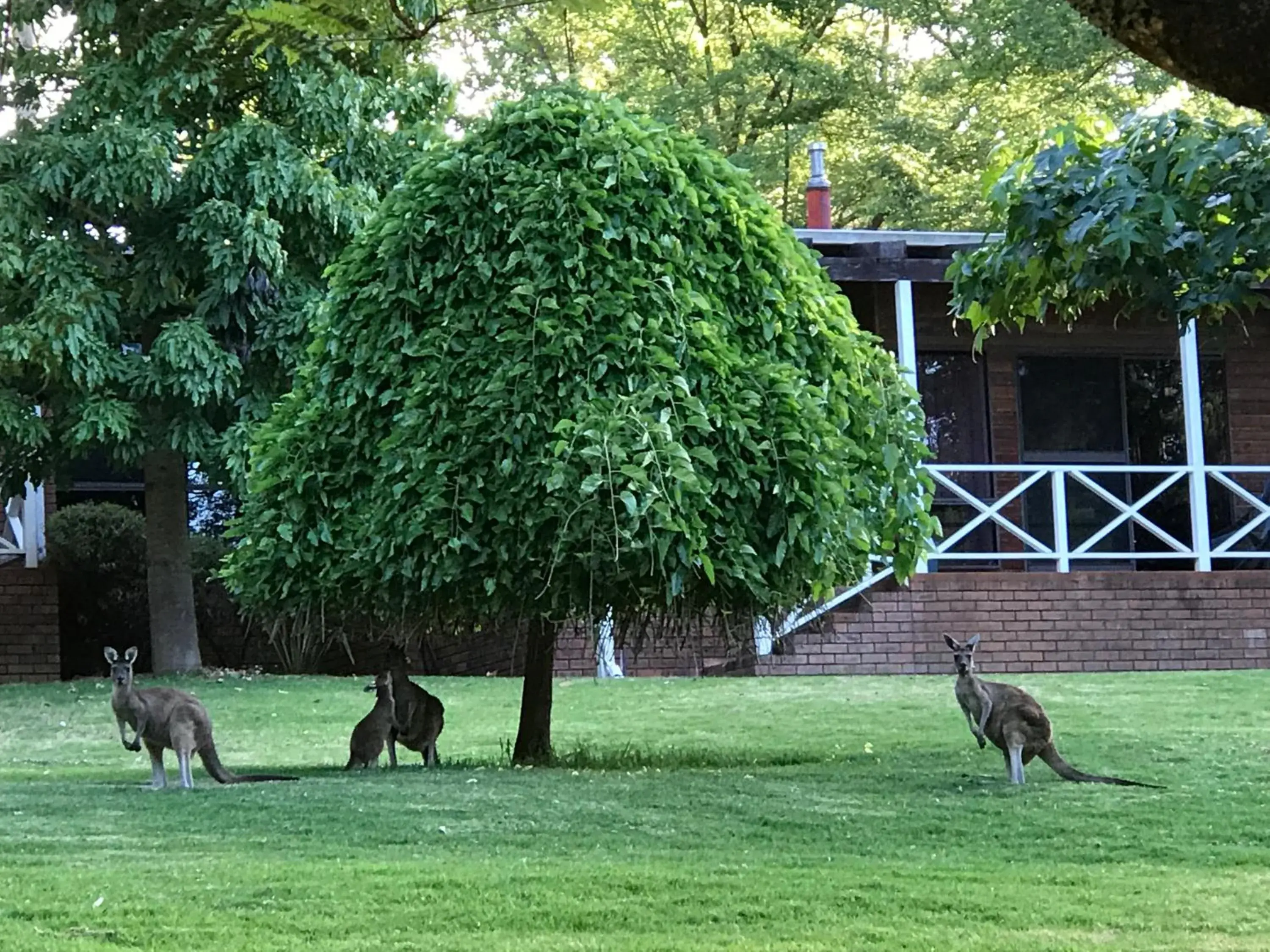 Two-Bedroom Chalet in Forest Lodge Resort Two-Bedroom Chalet in Forest Lodge Resort