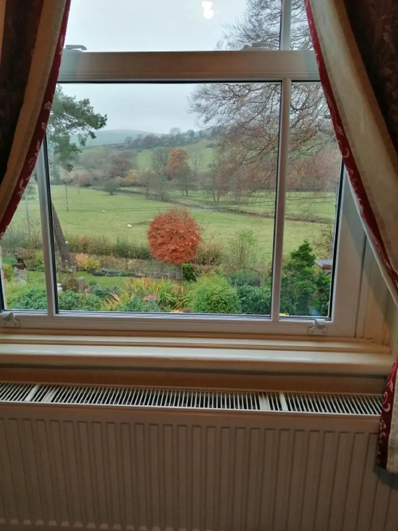 King Room with Mountain View - single occupancy in Lion Hotel King Room with Mountain View - single occupancy in Lion Hotel