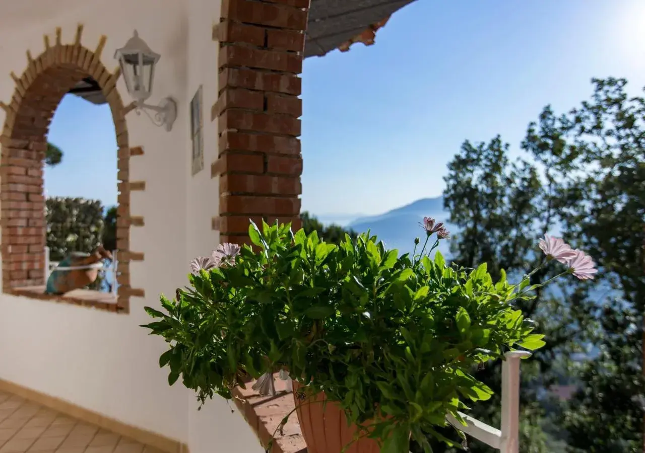 Standard Double Room in Residence Le Terrazze Standard Double Room in Residence Le Terrazze