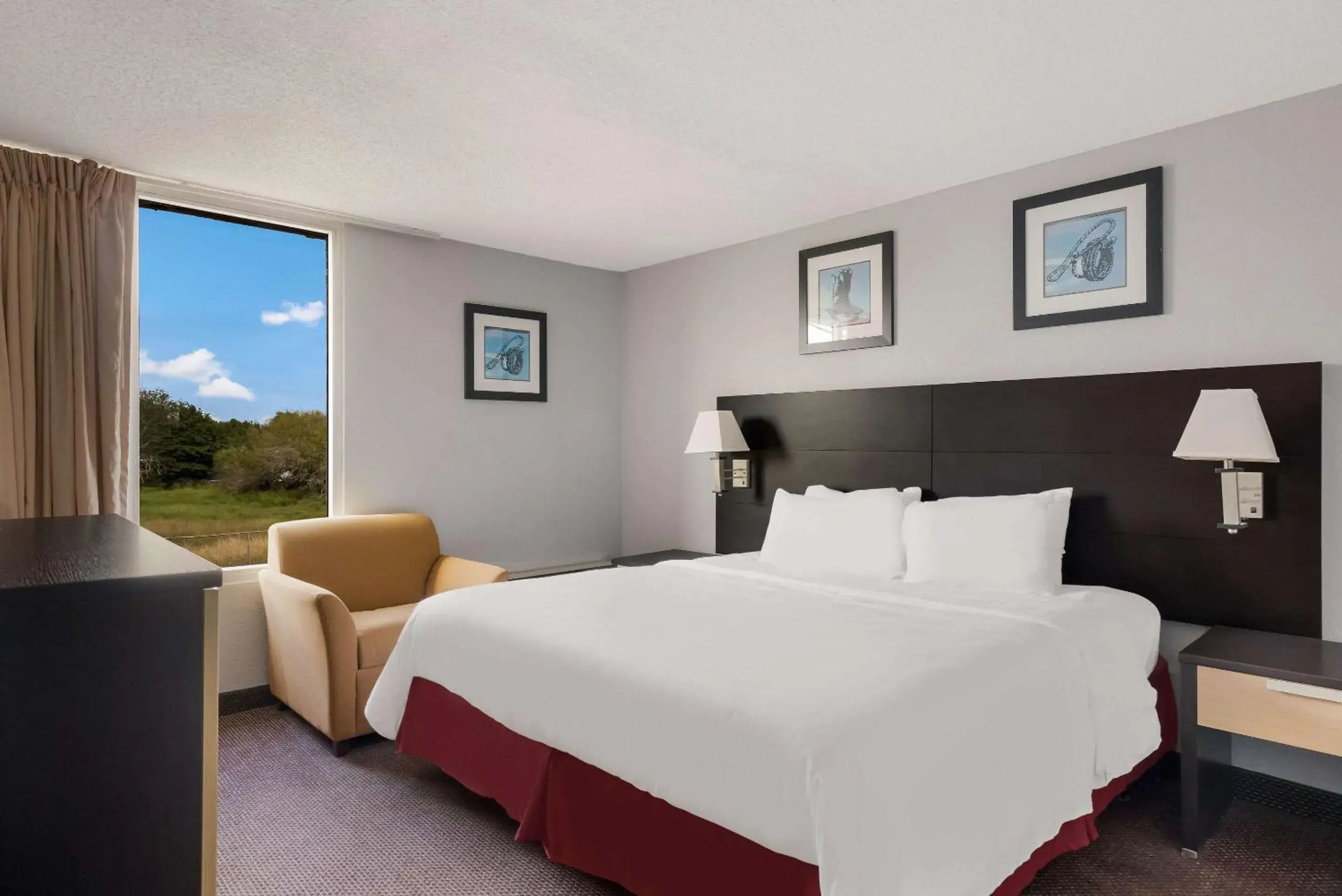 Single Room - Disability Access in Quality Inn Single Room - Disability Access in Quality Inn