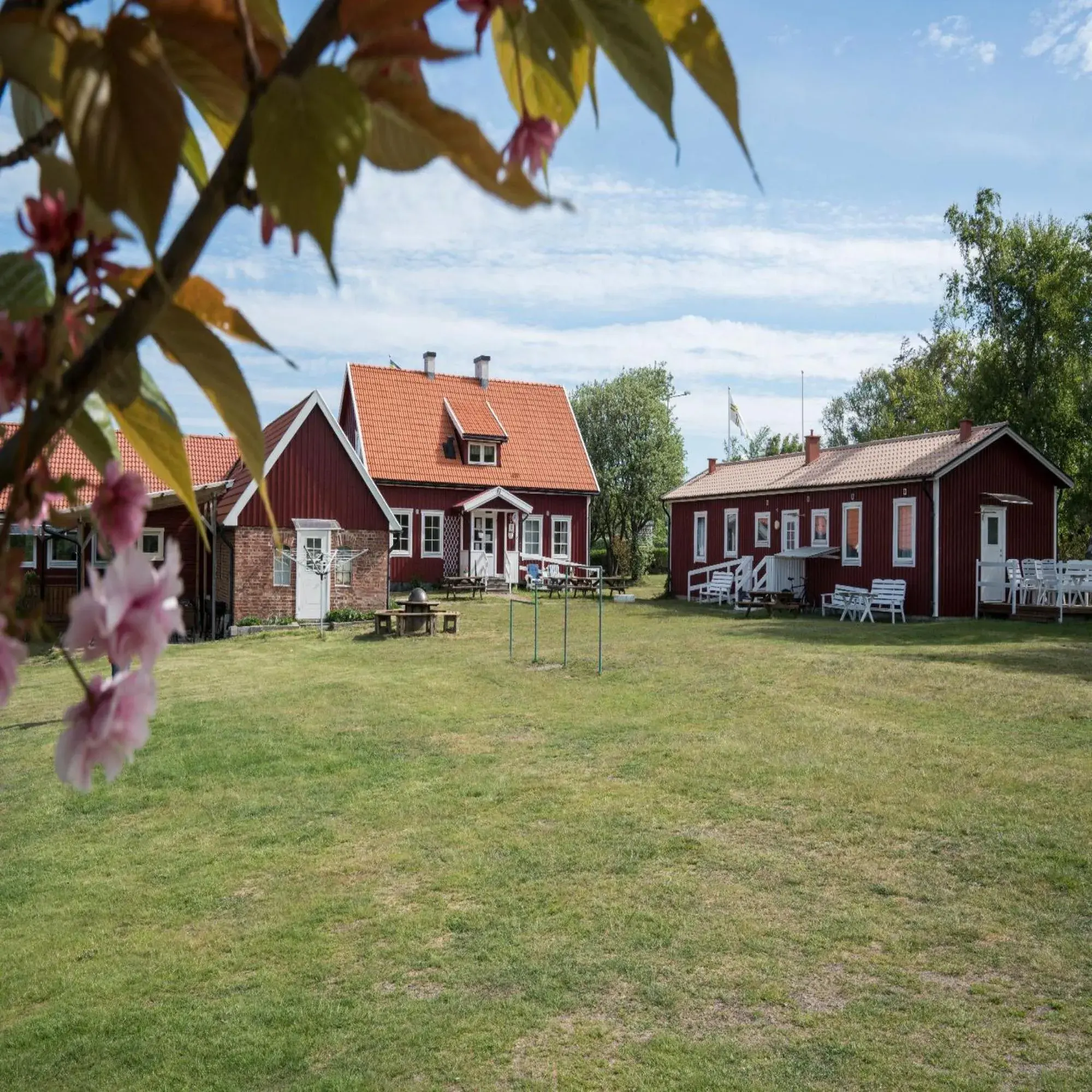 Double Room with Shared Bathroom (Hostel) - single occupancy in Solstickan Hotell & Vandrarhem Double Room with Shared Bathroom (Hostel) - single occupancy in Solstickan Hotell & Vandrarhem