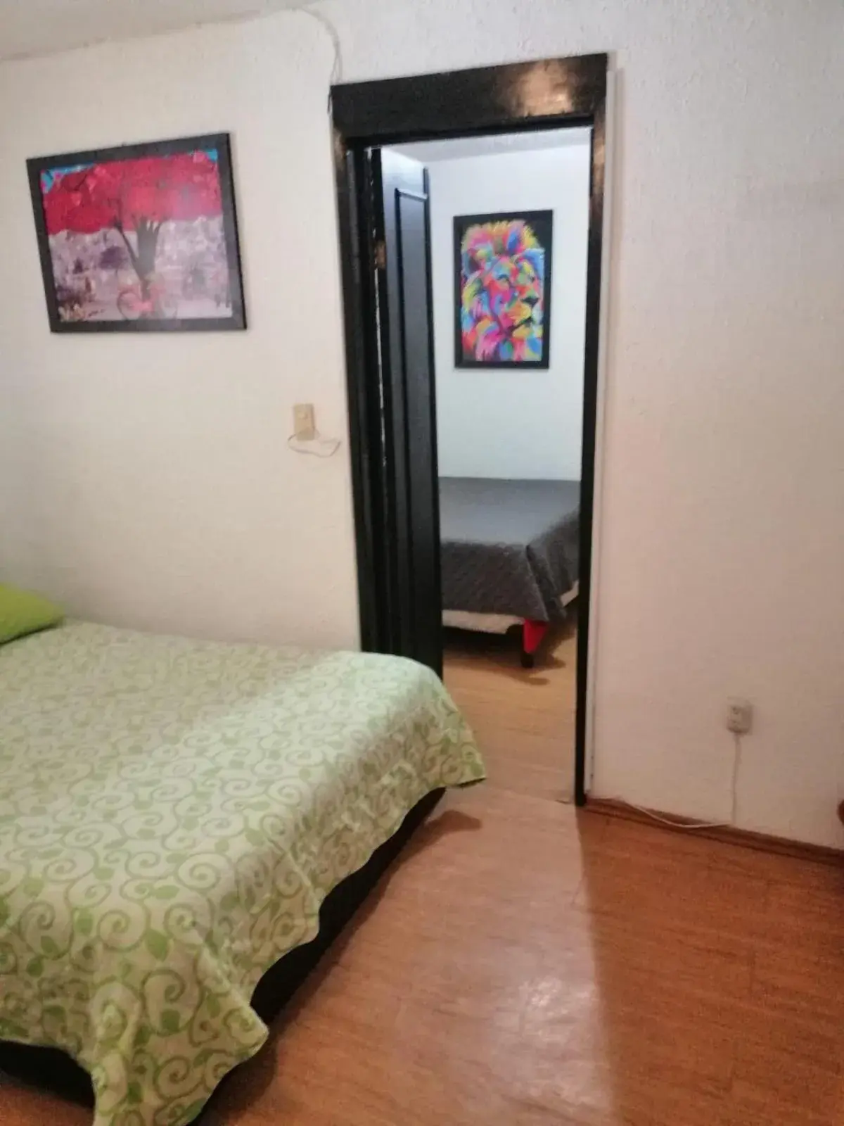 Family Room in Casita del Árbol Family Room in Casita del Árbol