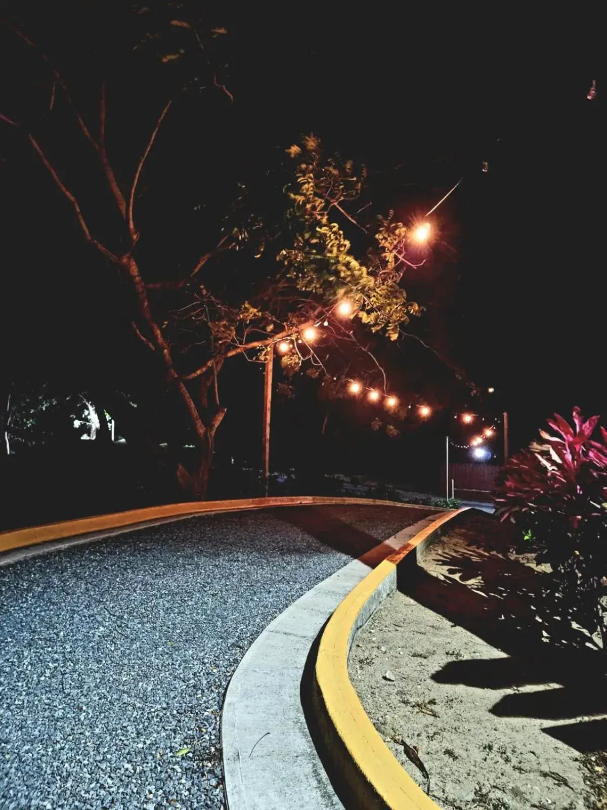 Deluxe King Room with Garden View in Hotel and Dive Center Roatan Yacht Club Deluxe King Room with Garden View in Hotel and Dive Center Roatan Yacht Club