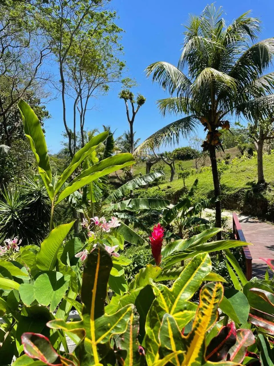 Deluxe King Room in Hotel and Dive Center Roatan Yacht Club Deluxe King Room in Hotel and Dive Center Roatan Yacht Club