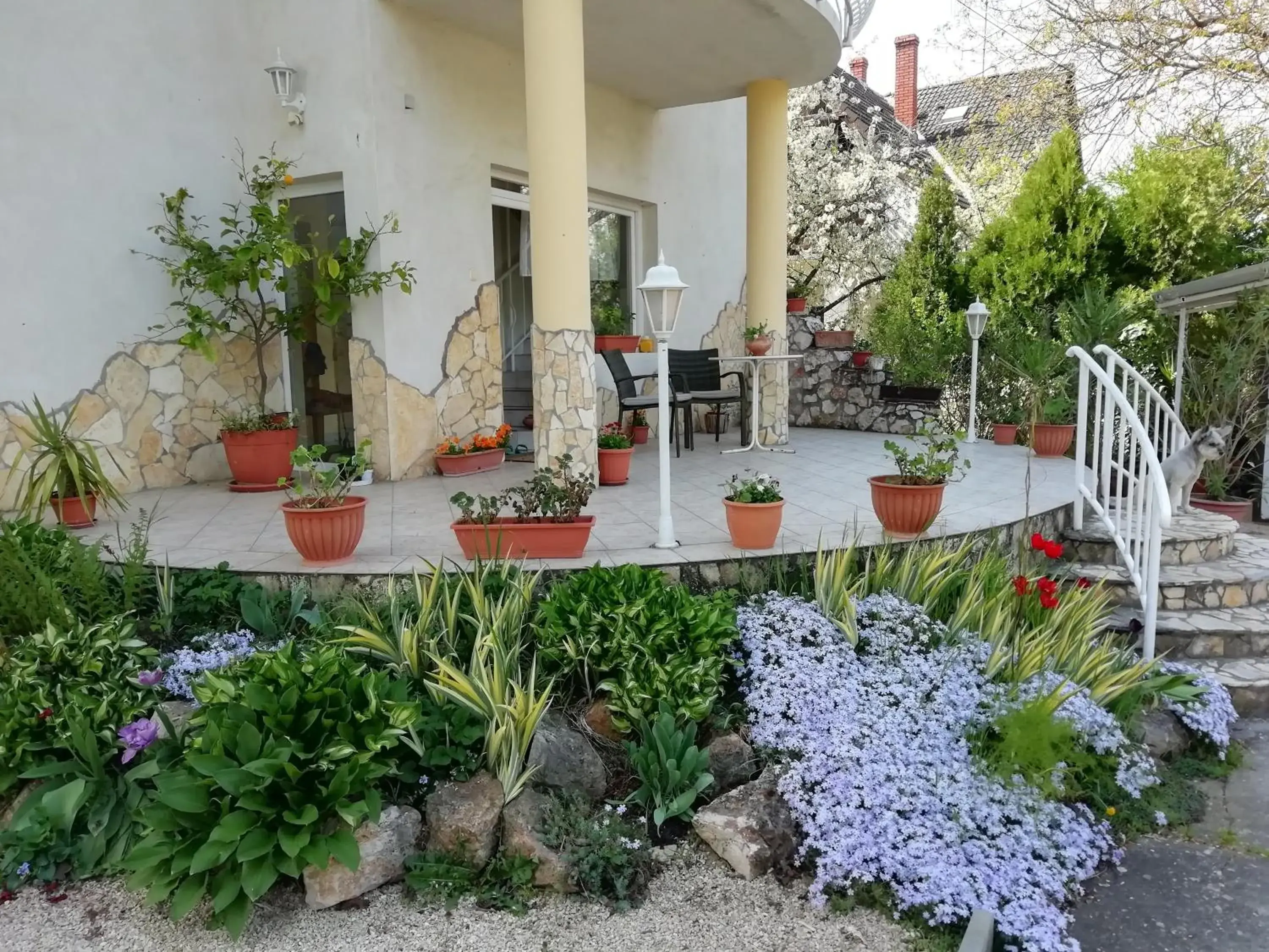 Szilvia apartman Szilvia apartman