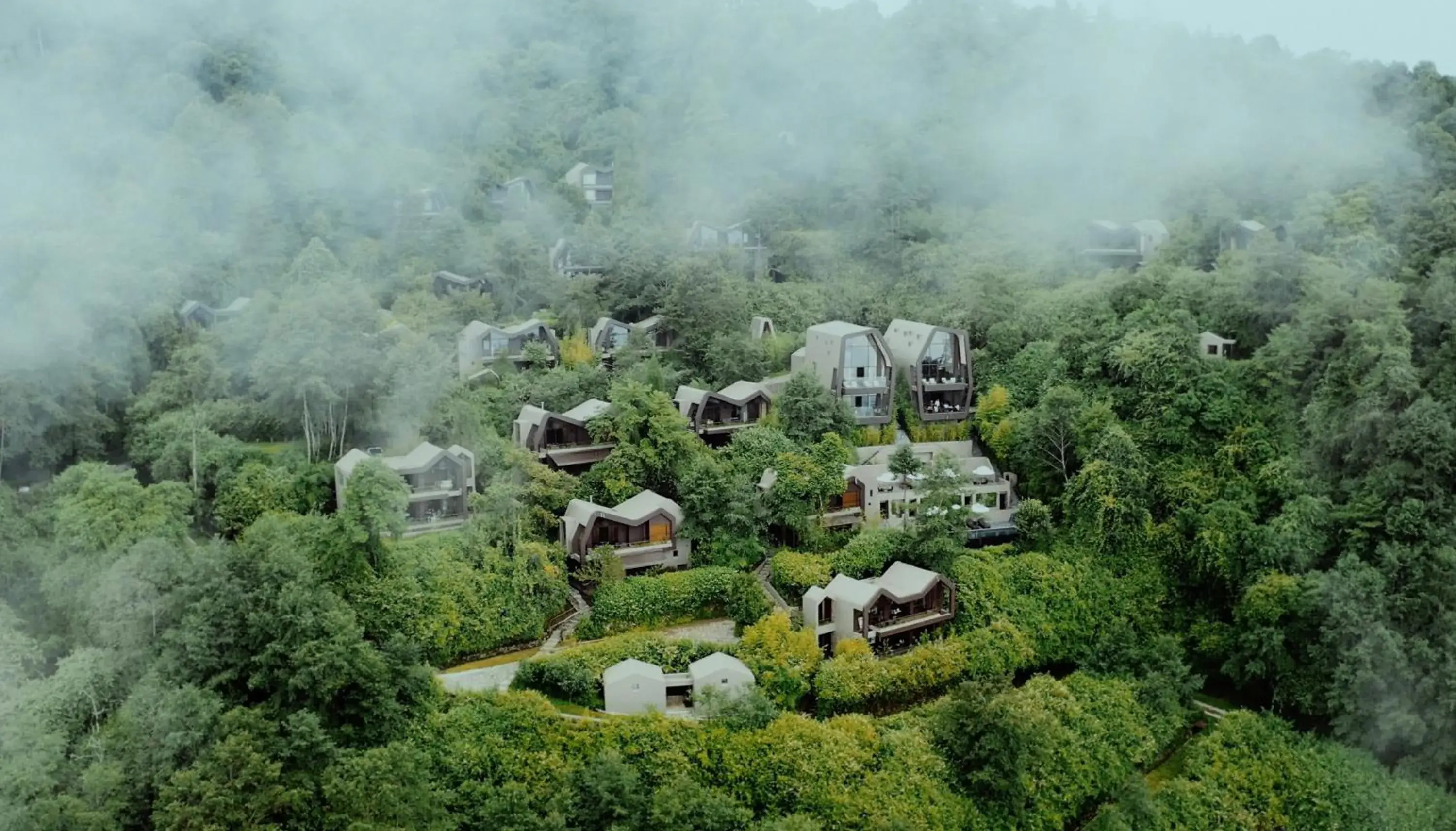 Kavya Himalayas Kavya Himalayas