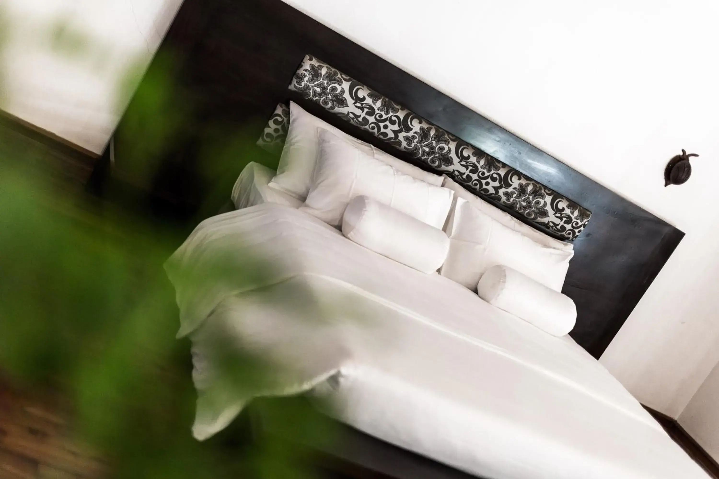 Deluxe Family Suite with Pool view - single occupancy in Villa White Queen Resort & Spa Deluxe Family Suite with Pool view - single occupancy in Villa White Queen Resort & Spa