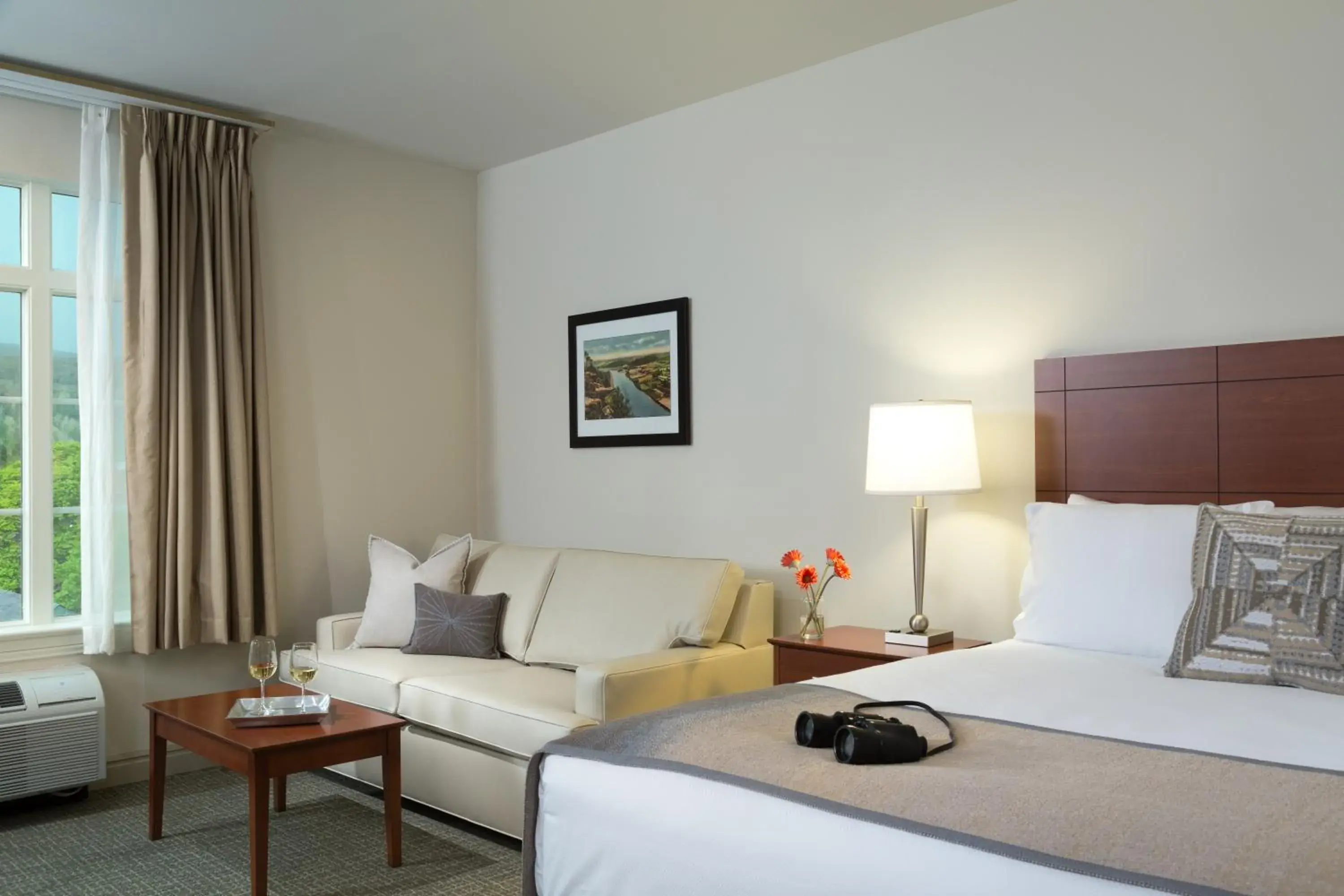 Deluxe King Room in Hotel Anthracite Deluxe King Room in Hotel Anthracite